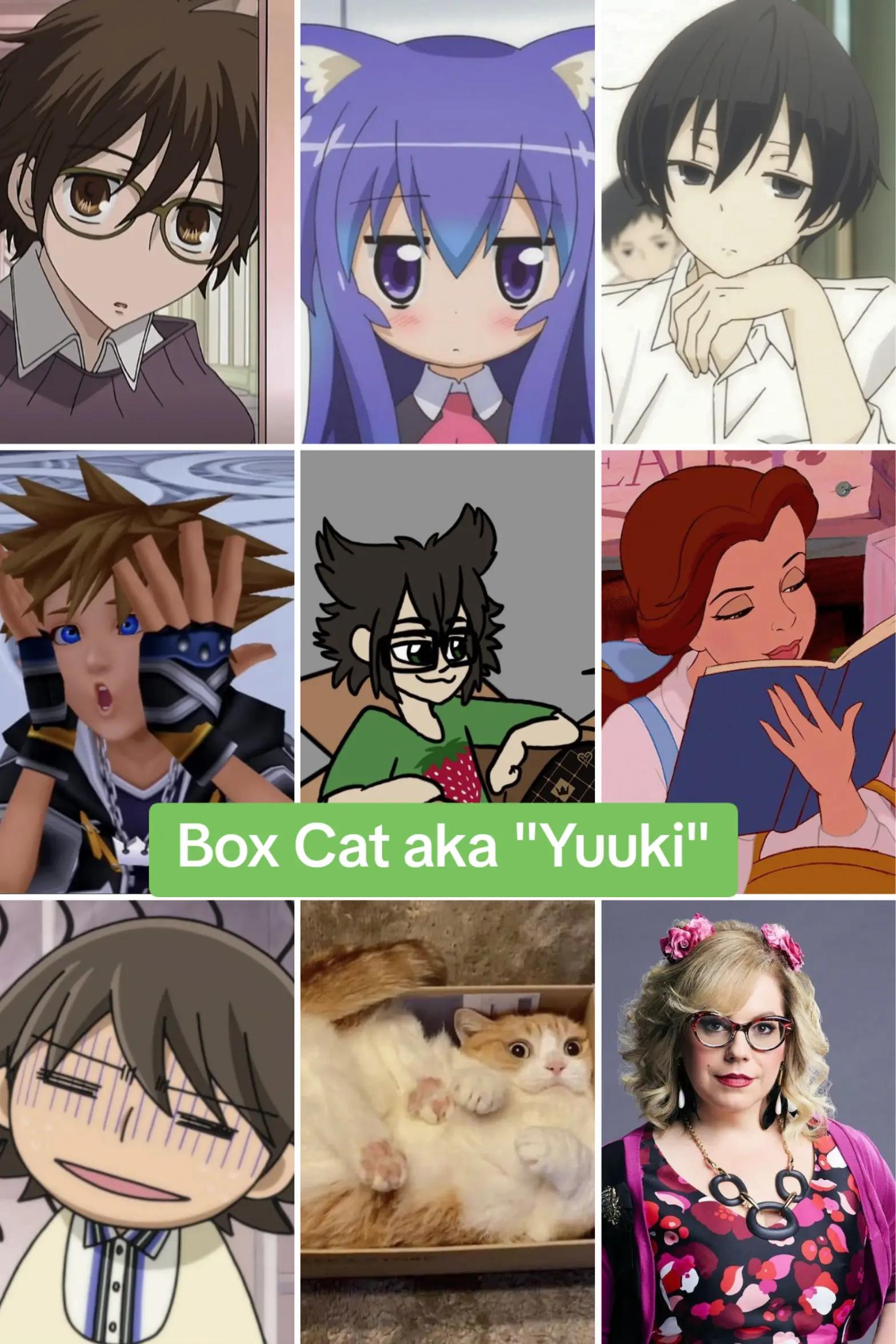 @Box Cat Yuuki