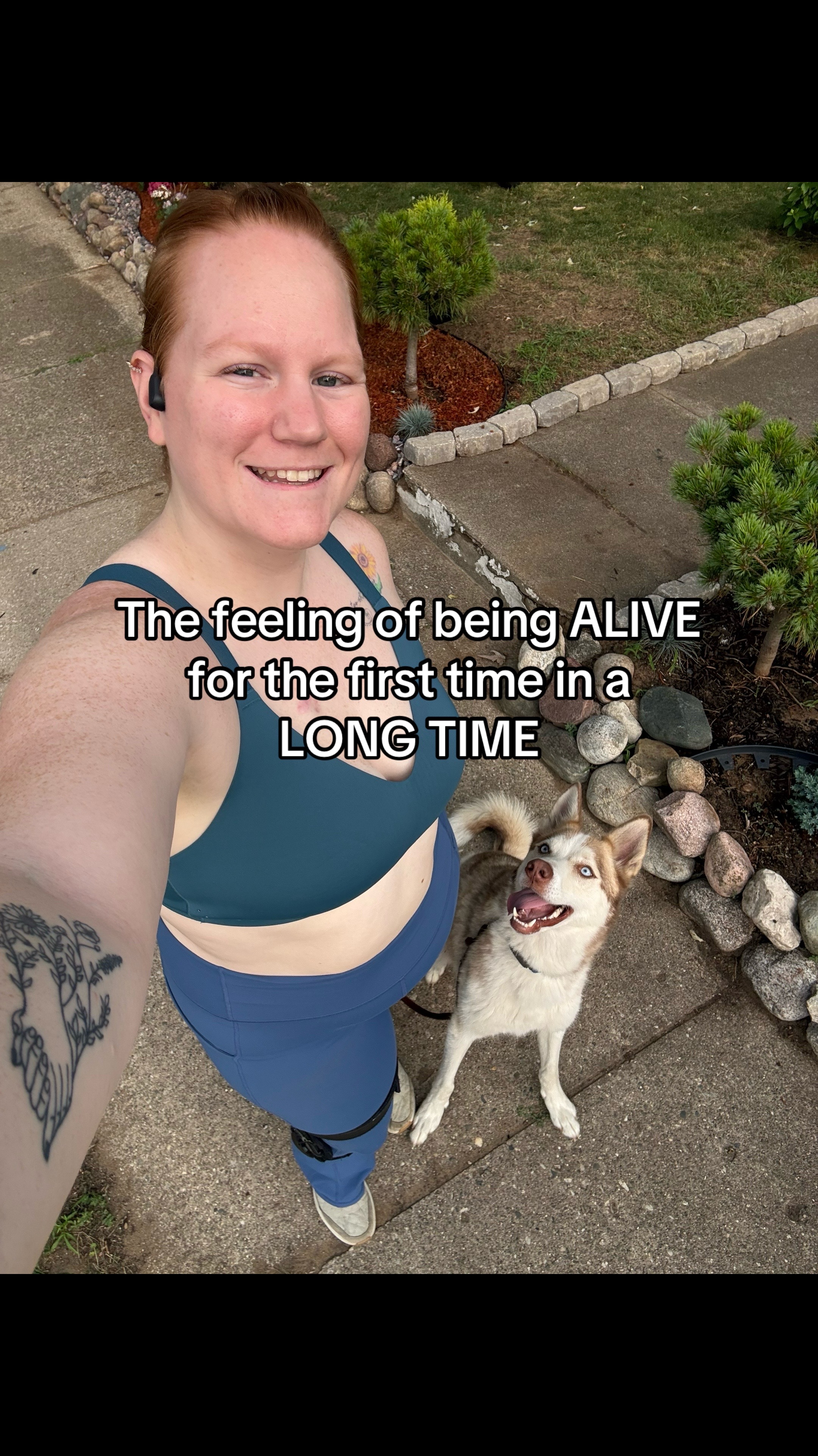 @potsiewithdogs