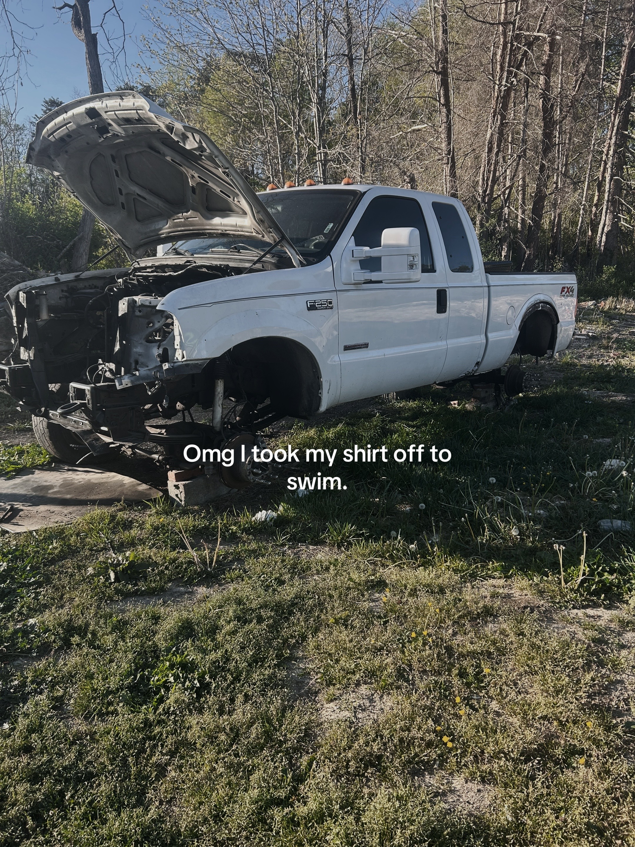 @🦆 Gabe 6.0