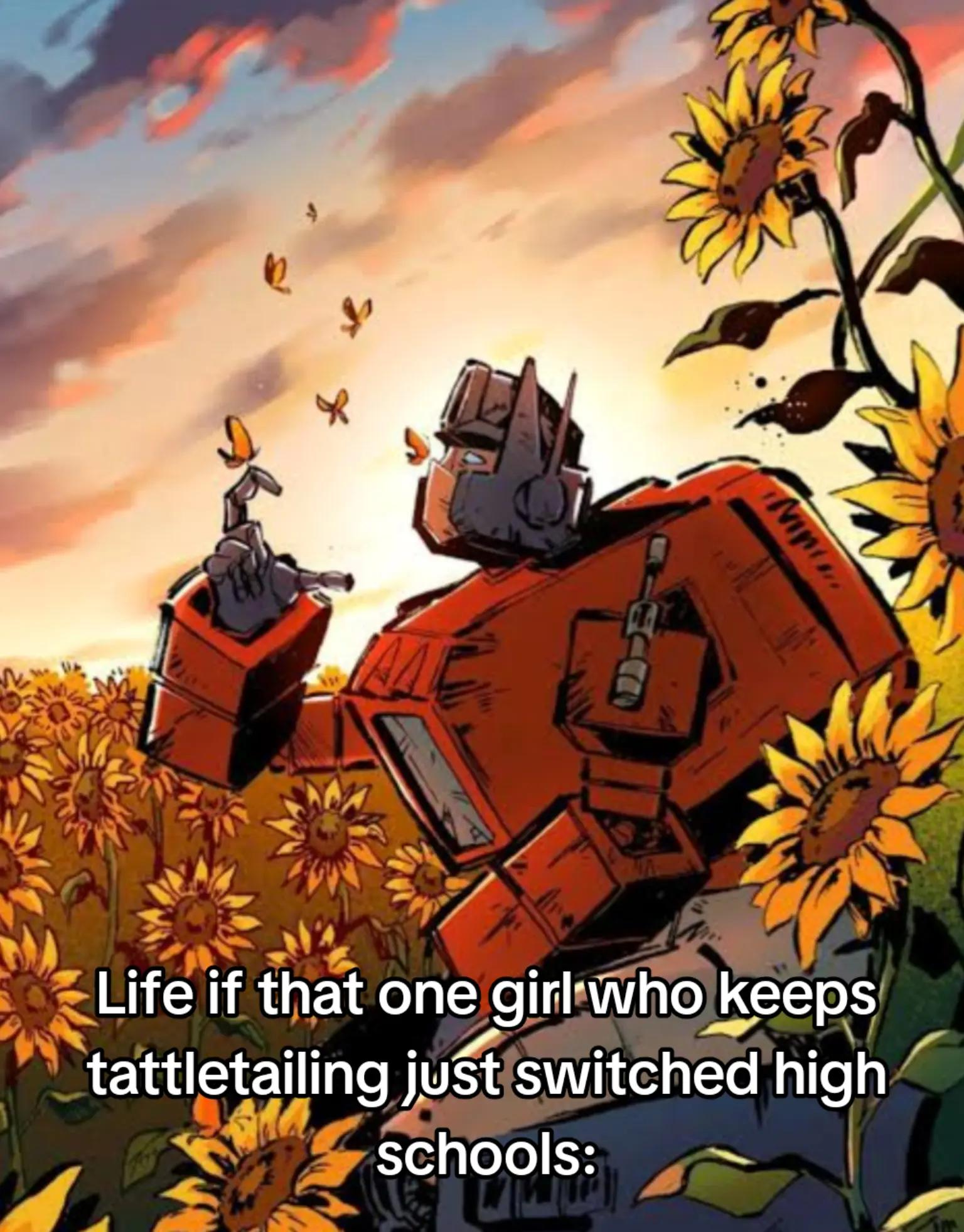 @Optimus Prime