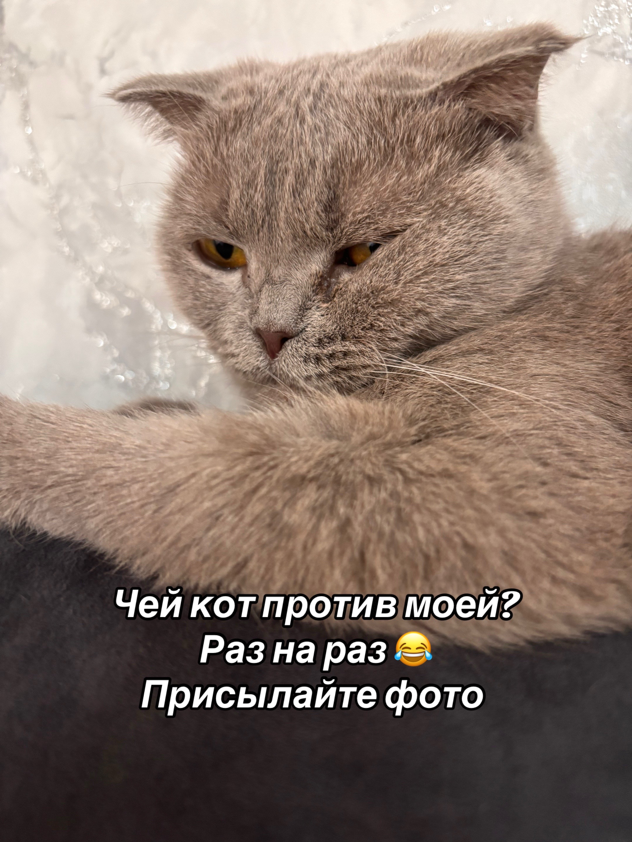 @Viktoria_pobeda