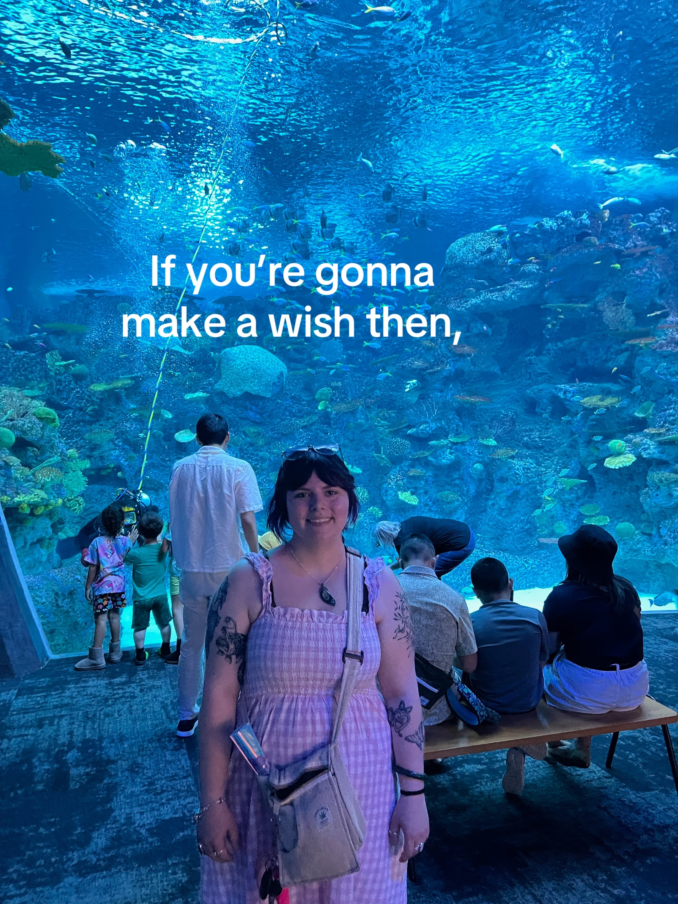 @Ady 🦢