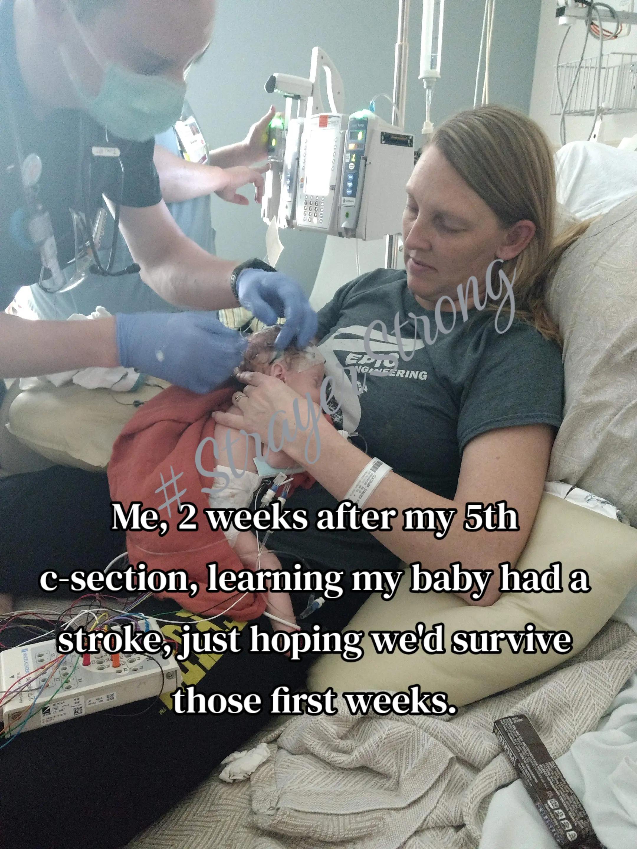 @StrayerStrong & His Mama