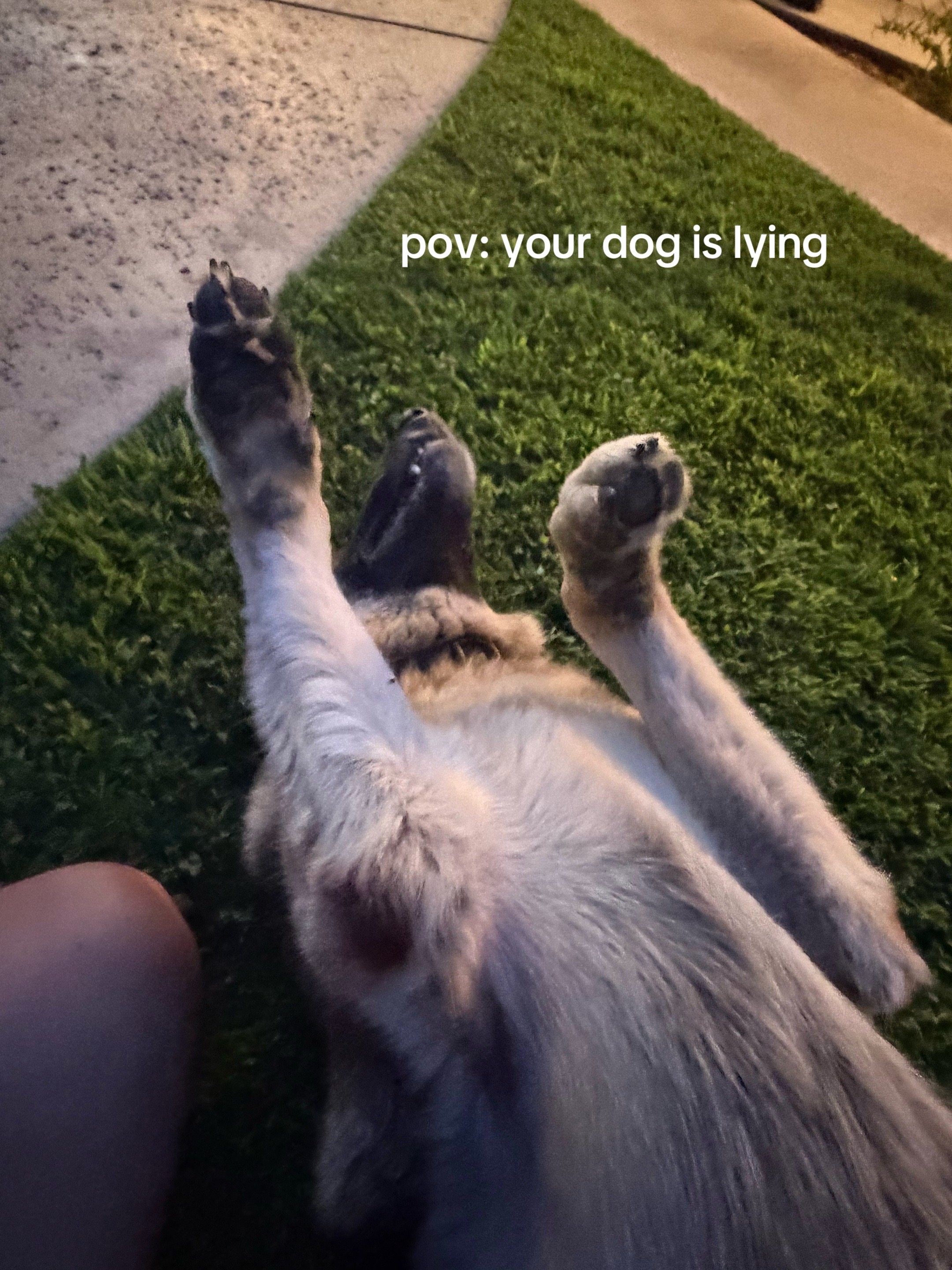 @jenni