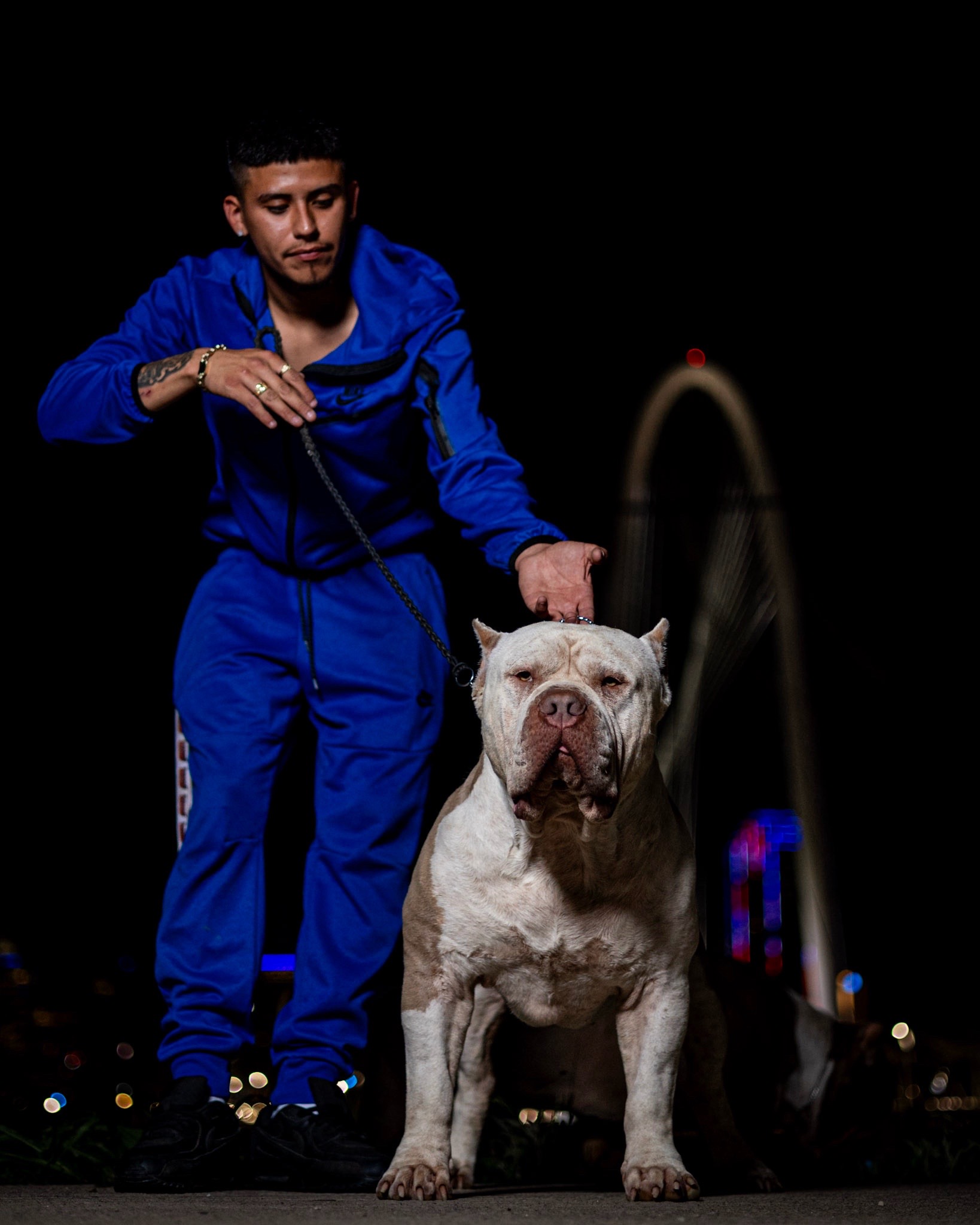 @Dtx_dogkennels