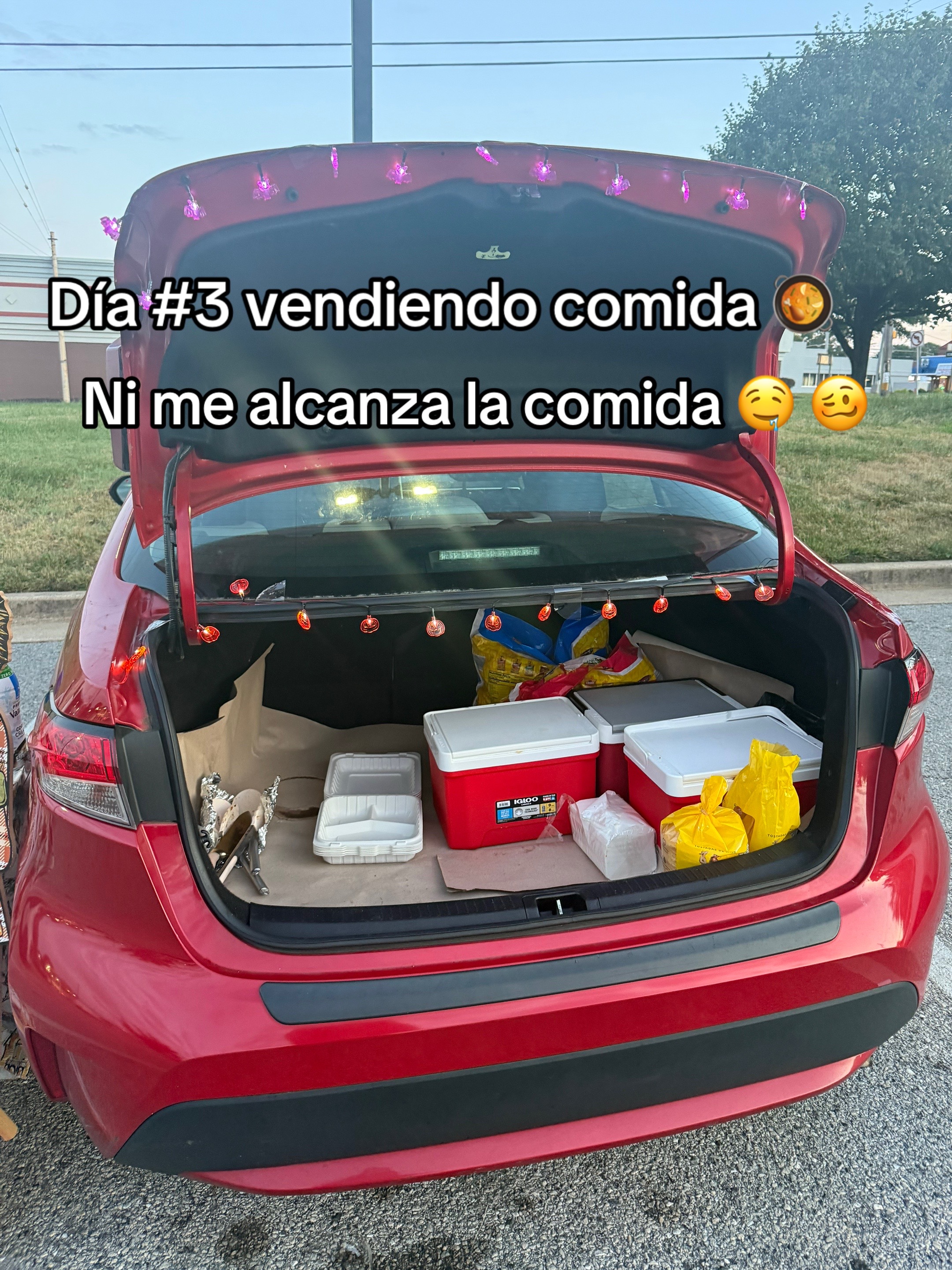 @CELESTE