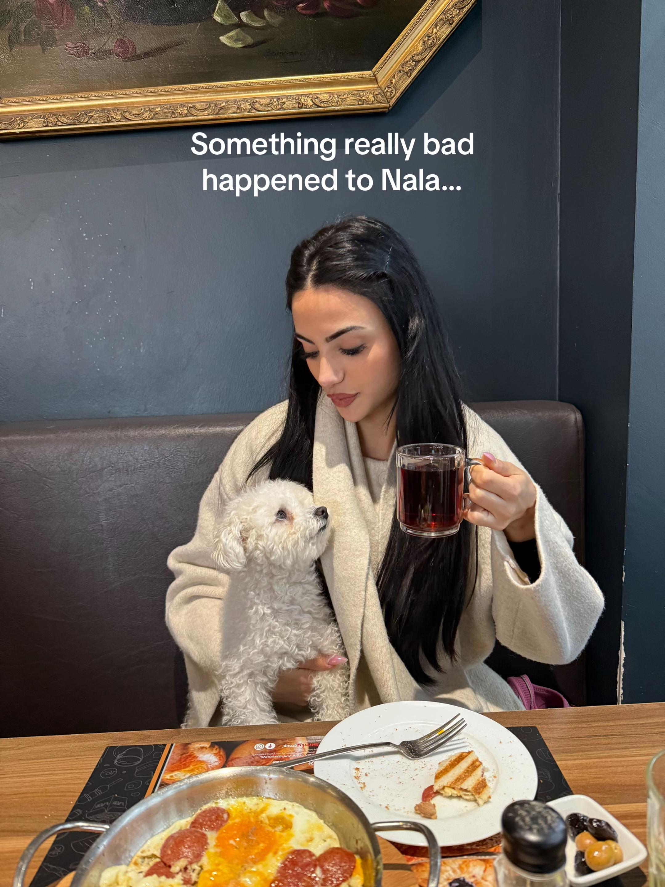 @Bitterschokolad
