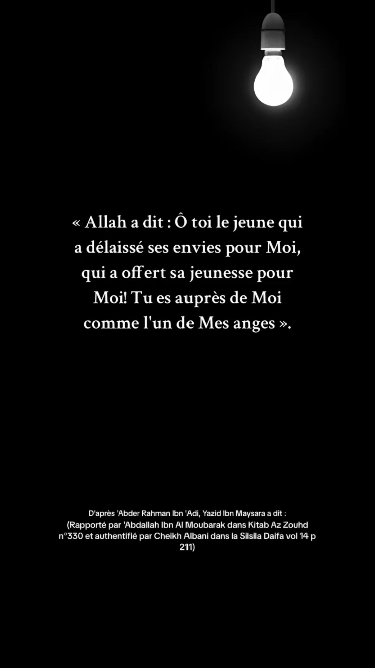 @omar_seijuro