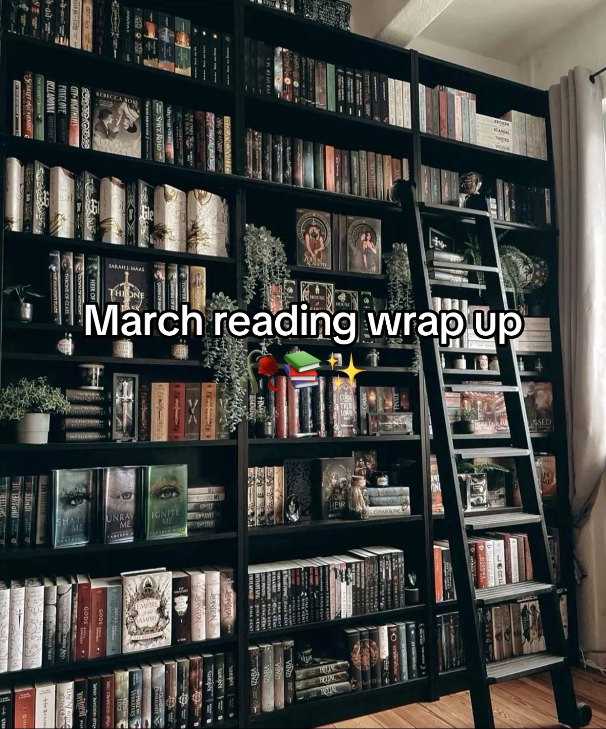 @Erica 📚✨