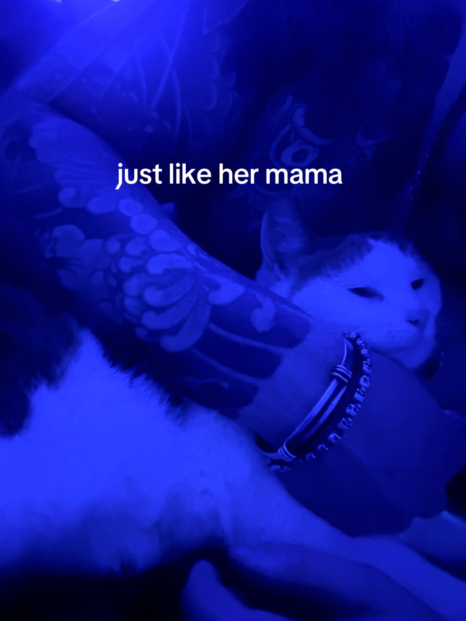 @pandora