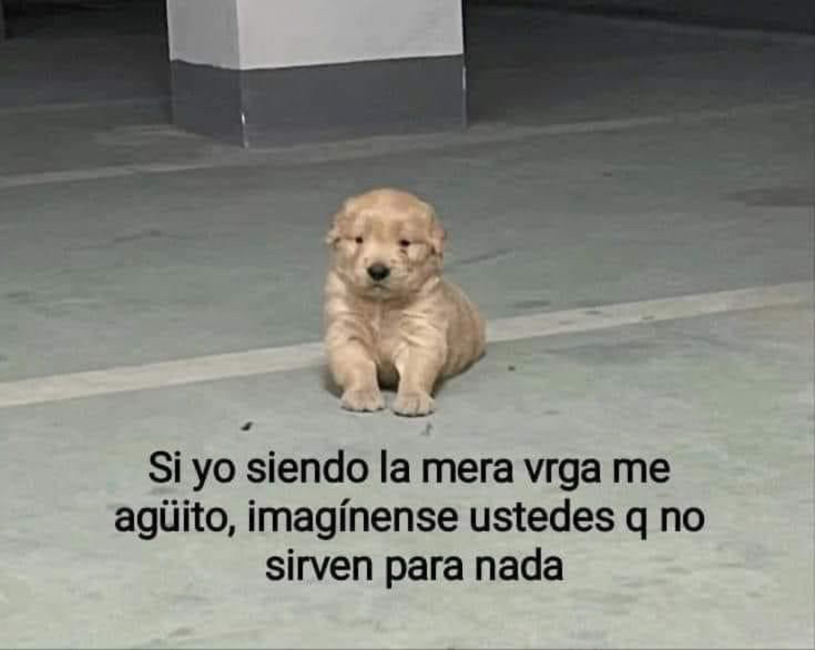 @Crixa🦋