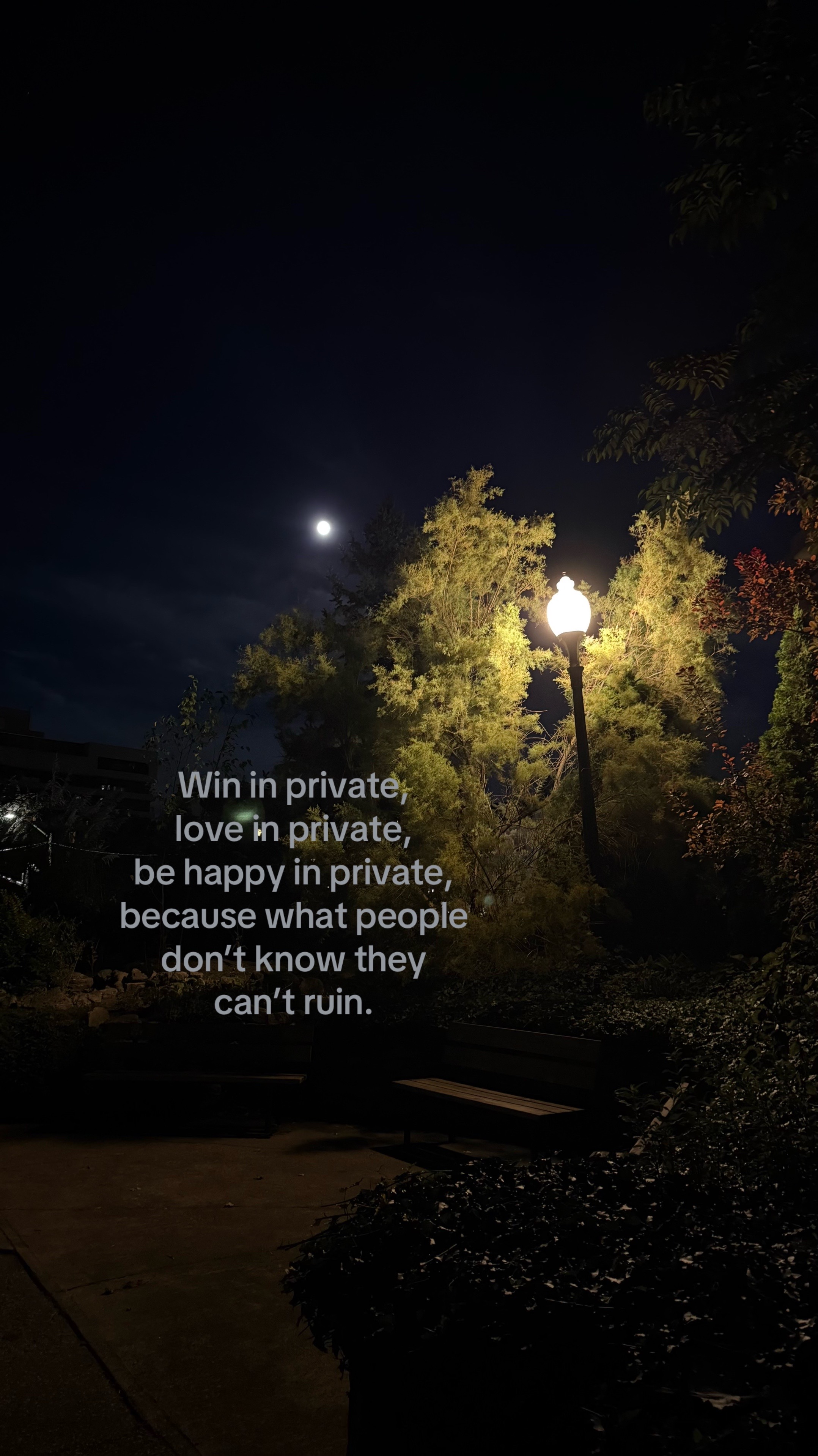 @ℒ ᥫ᭡
