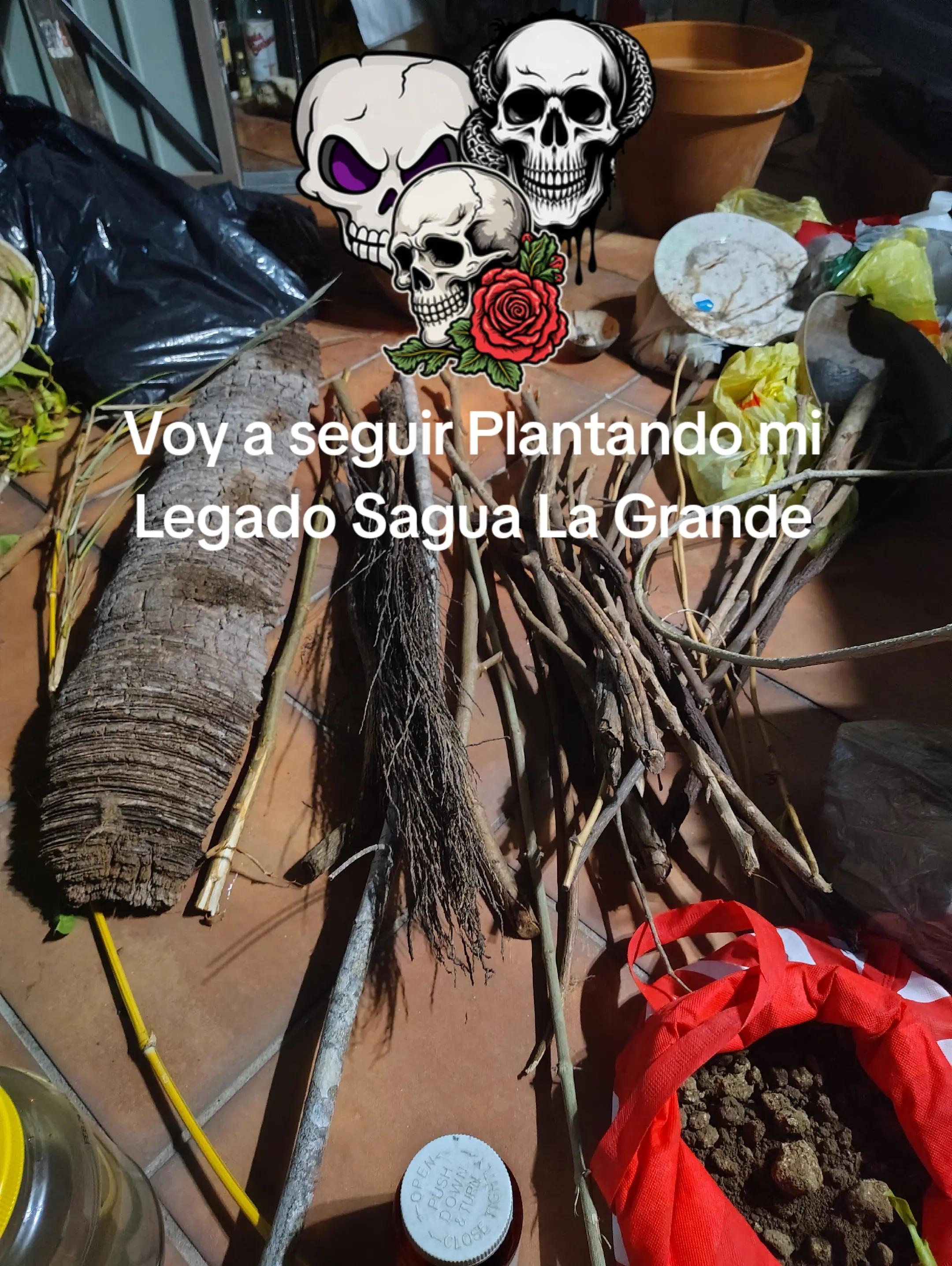 @SaguaLaGrandeTierradeCongo