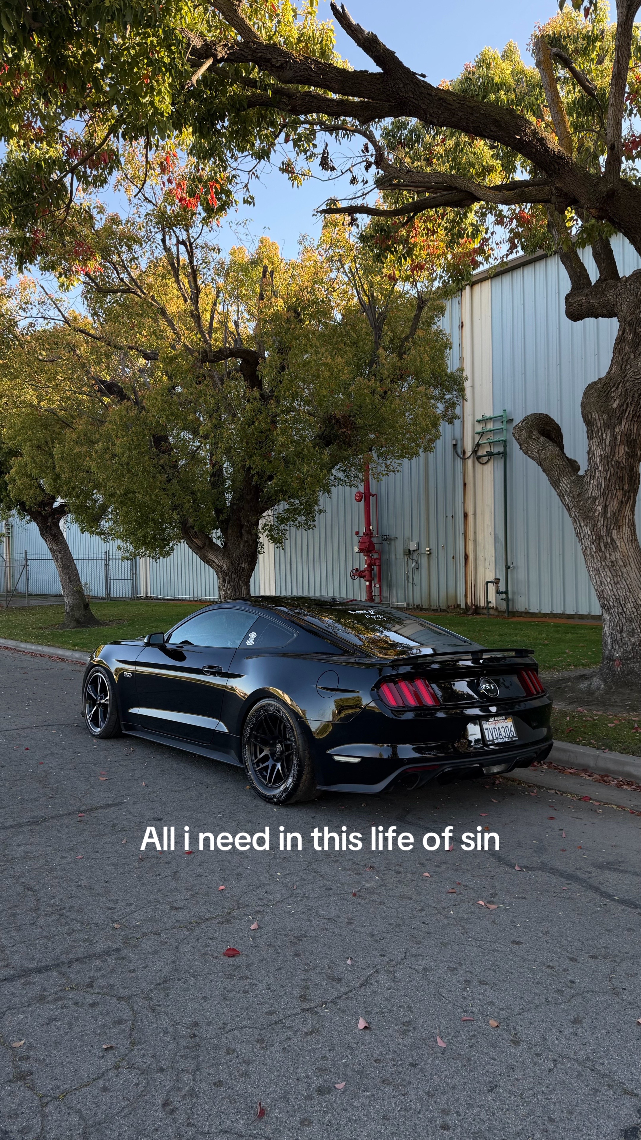 @2stockgt