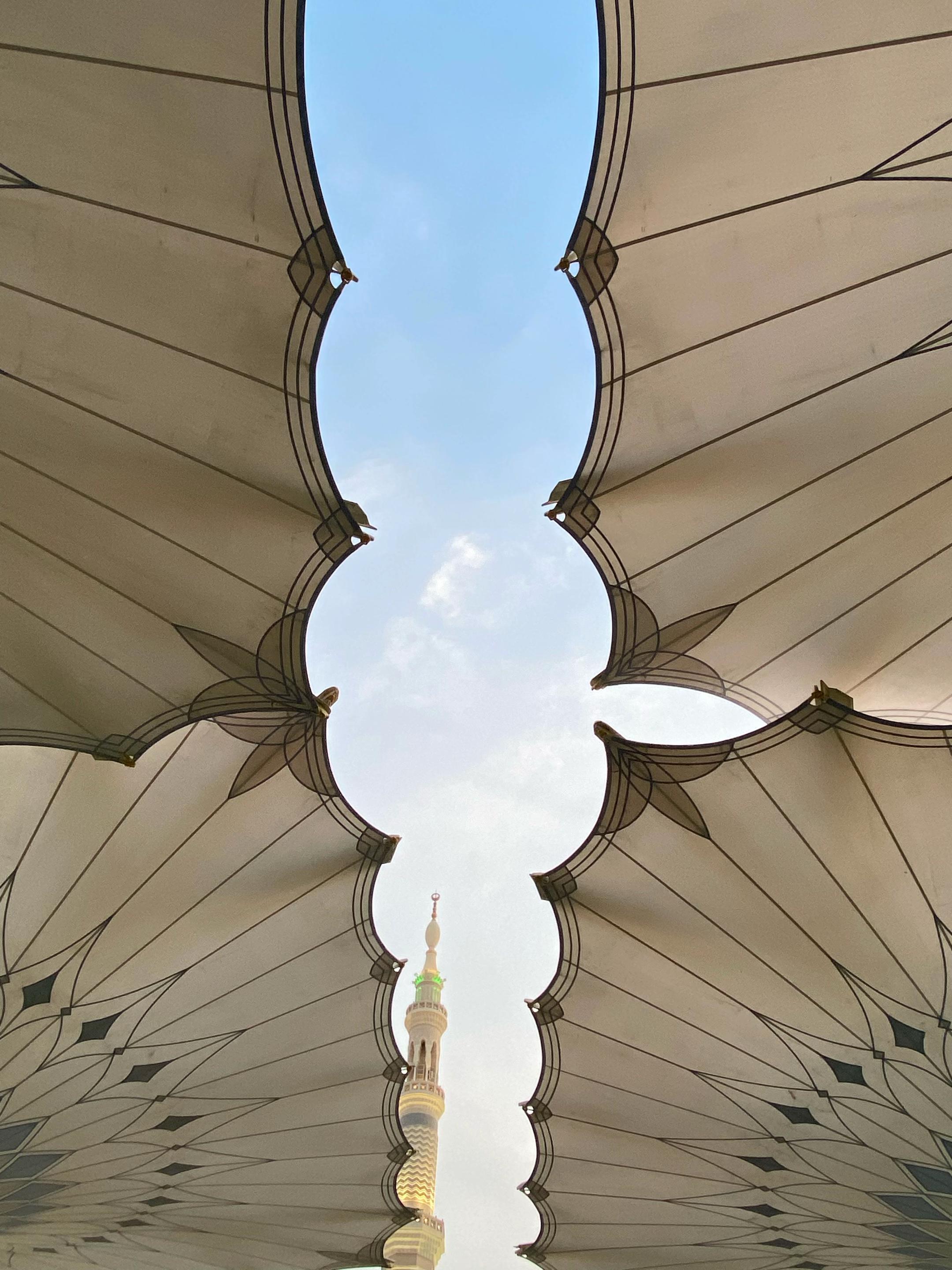 @حليمة❤️