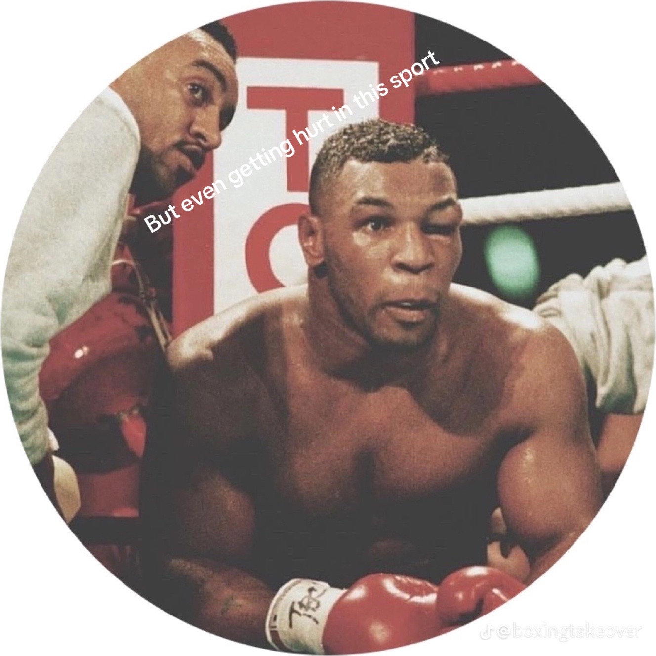 @Boxer fan