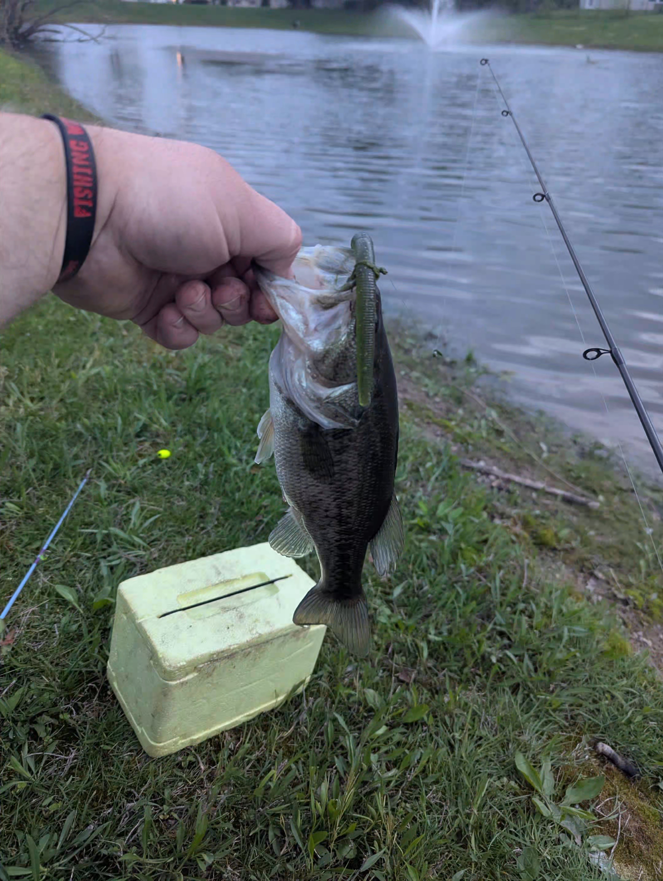 @Fishing with Metal