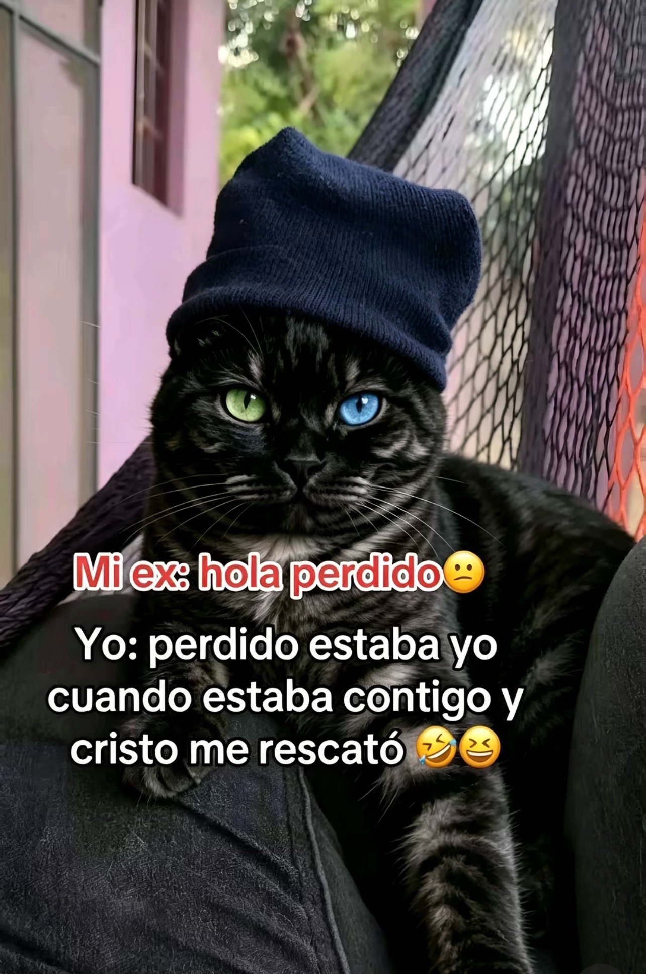 @👑⚔️🪬ELEAZAR EL HABIBI 🪬⚔️