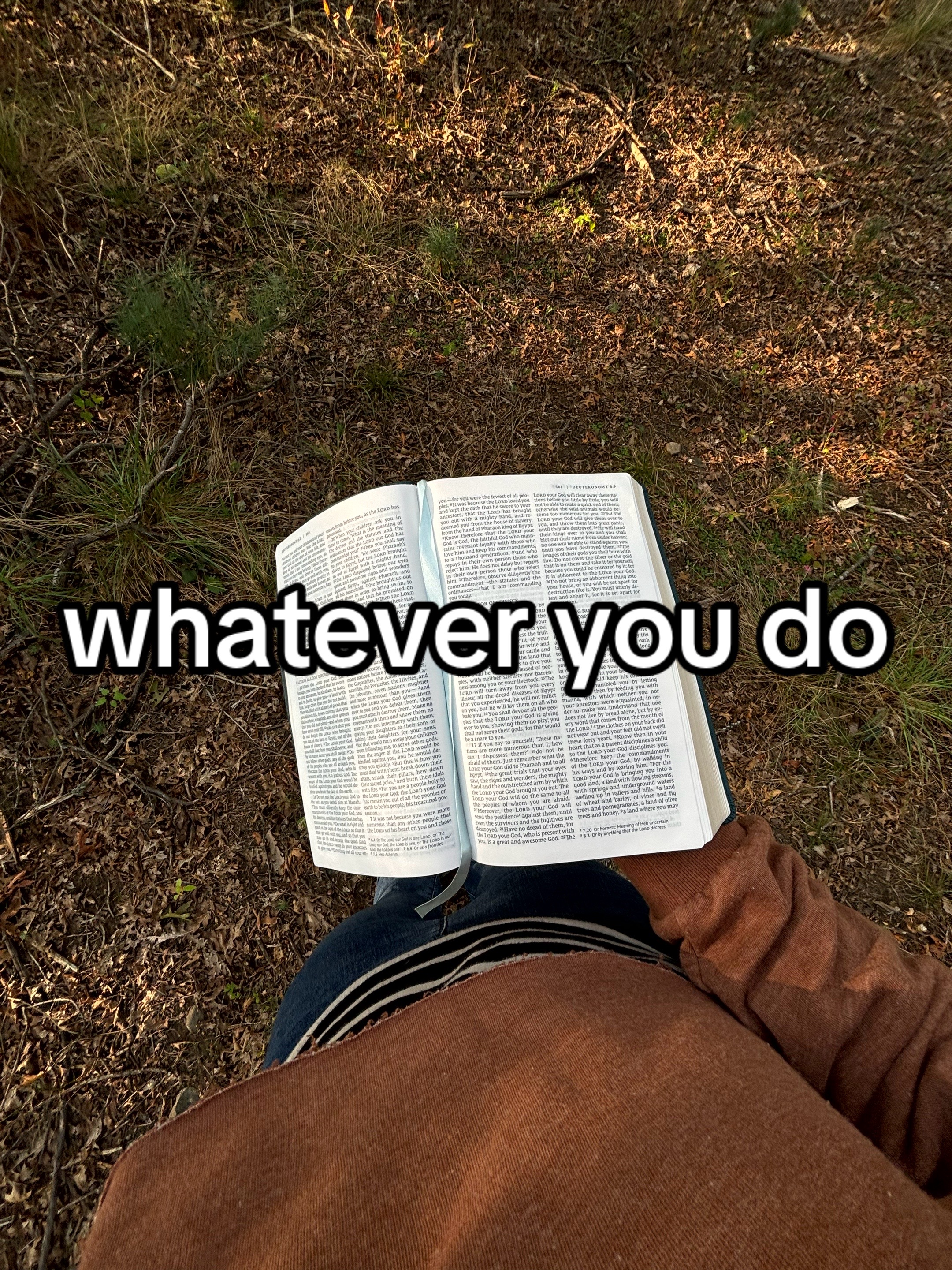 @true.fridrich
