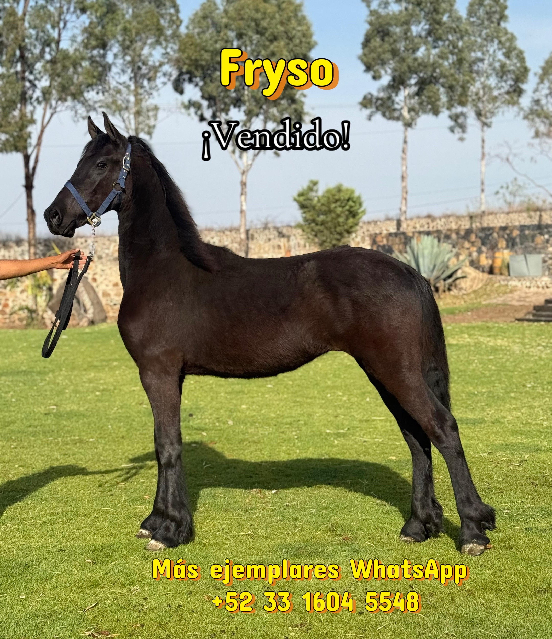 @Rancho el descanso GDL