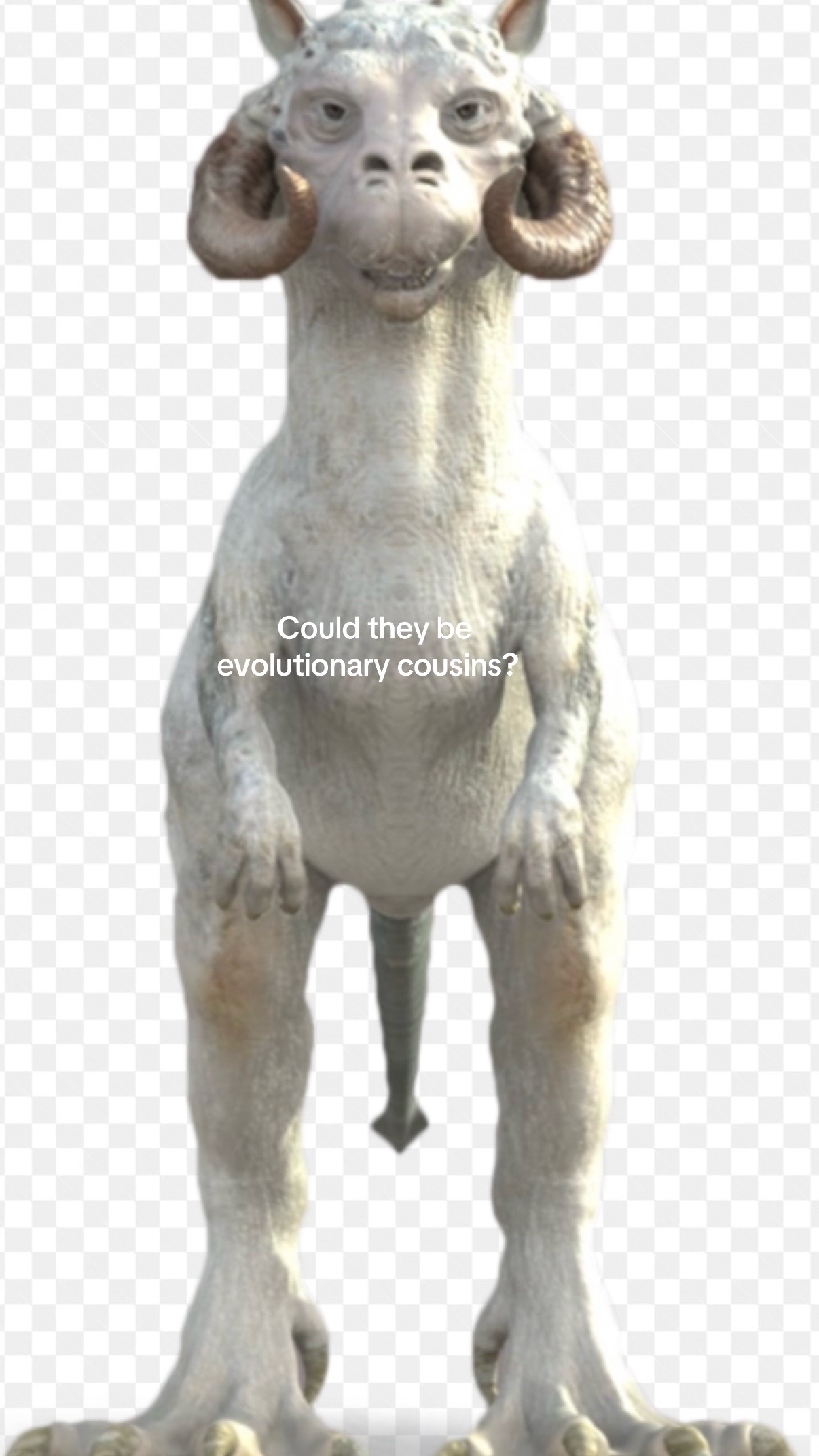 @Lindsay