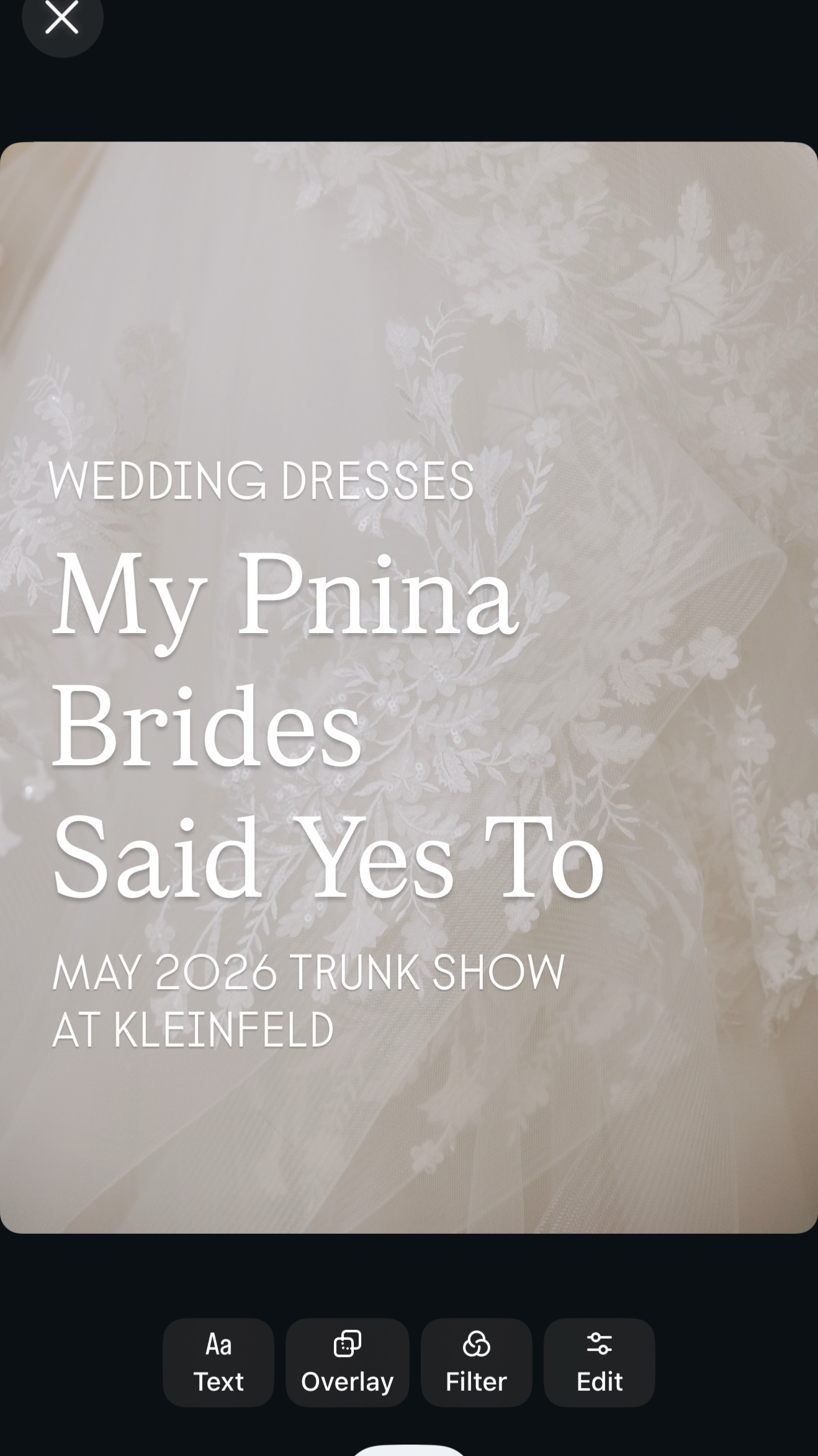 @Pnina Tornai