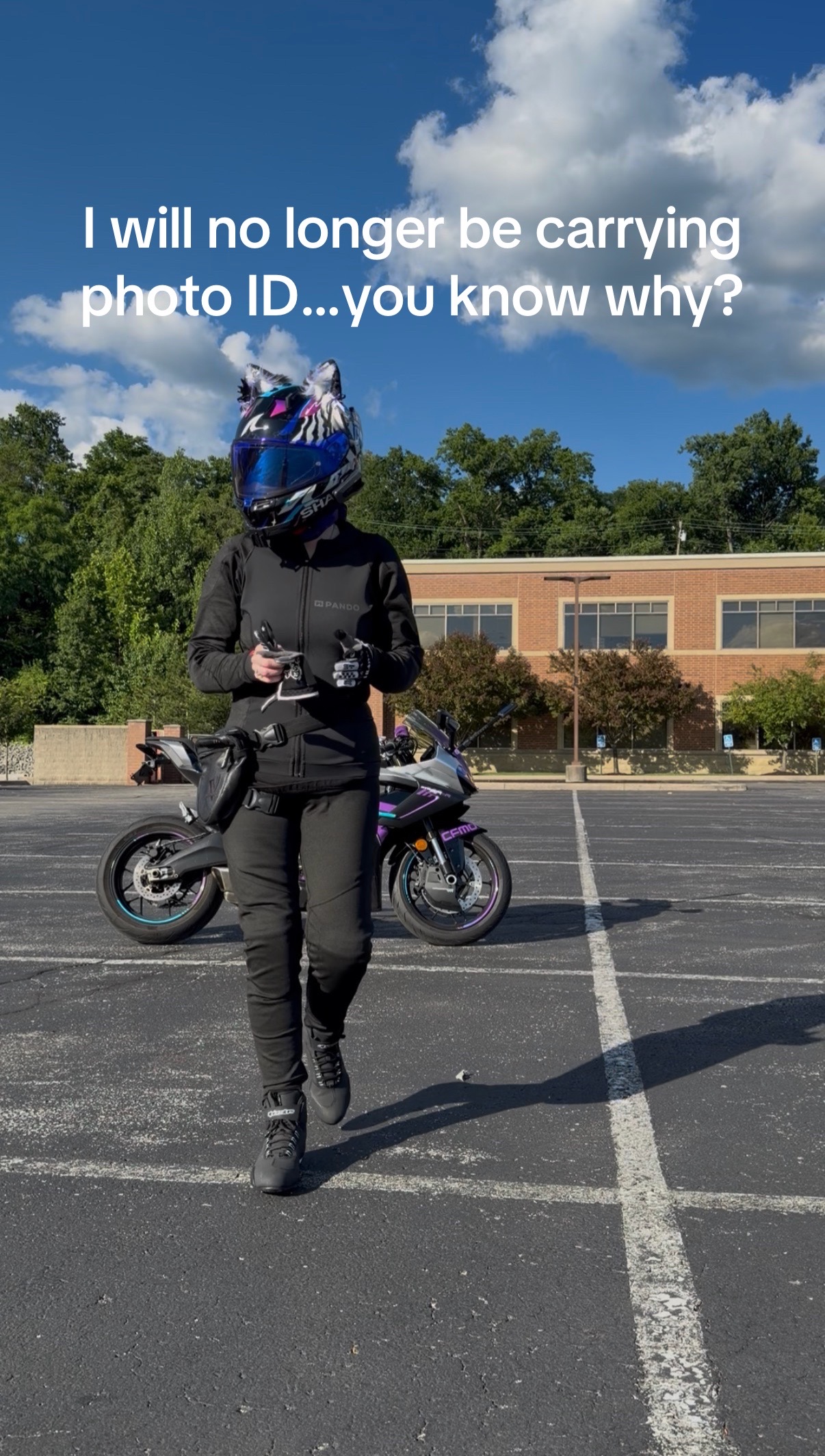 @curvemoto