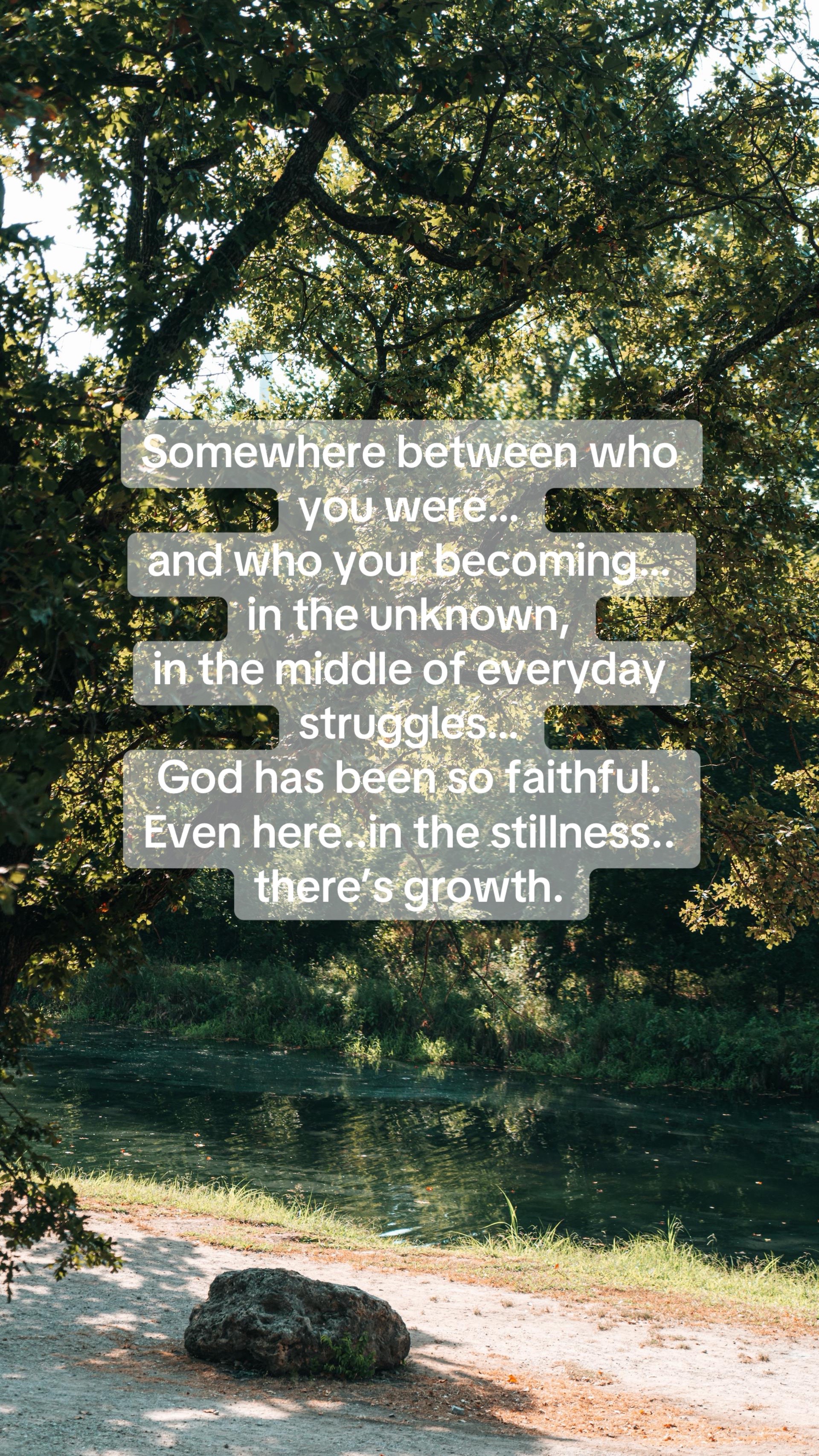 @softly rooted