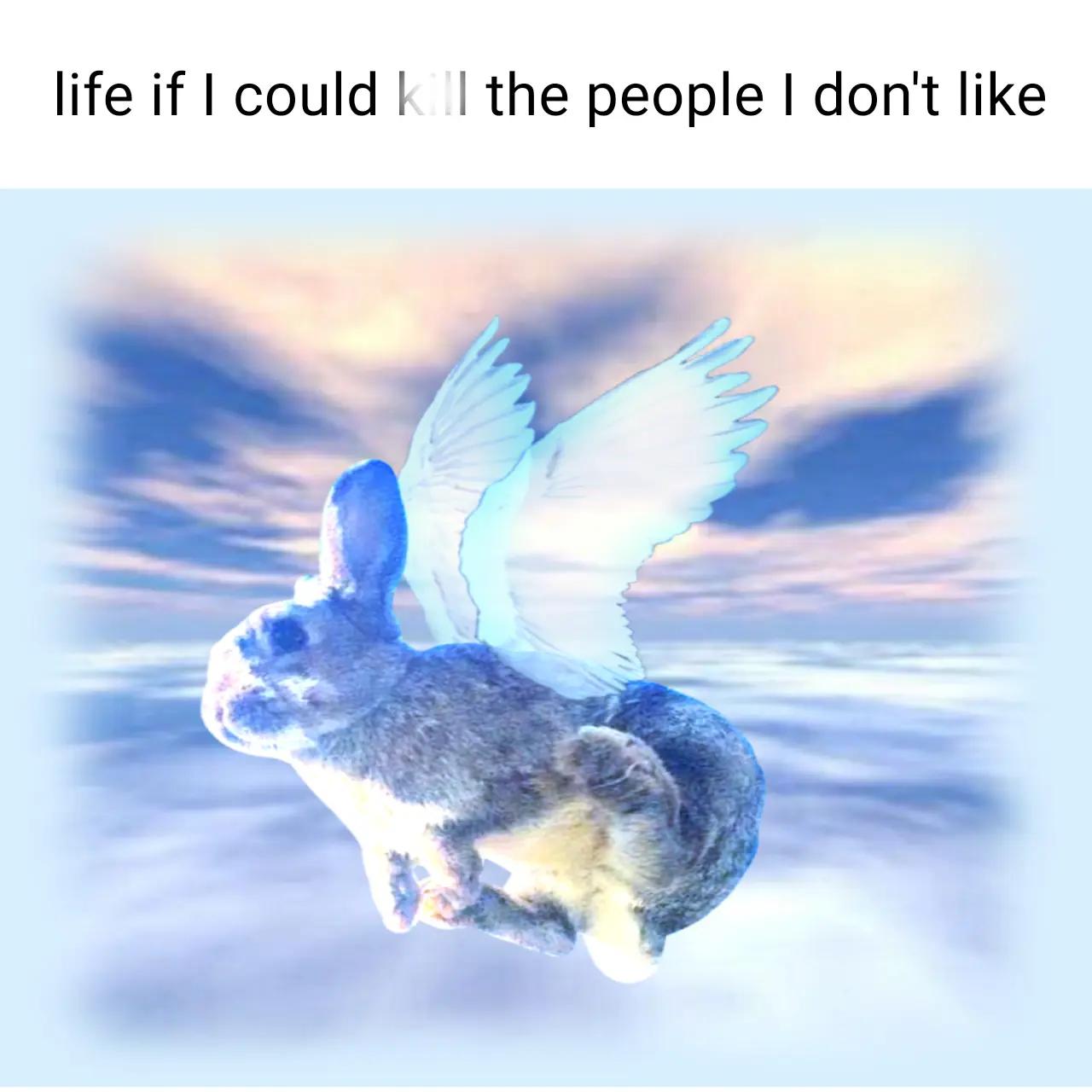 @I like bunnies