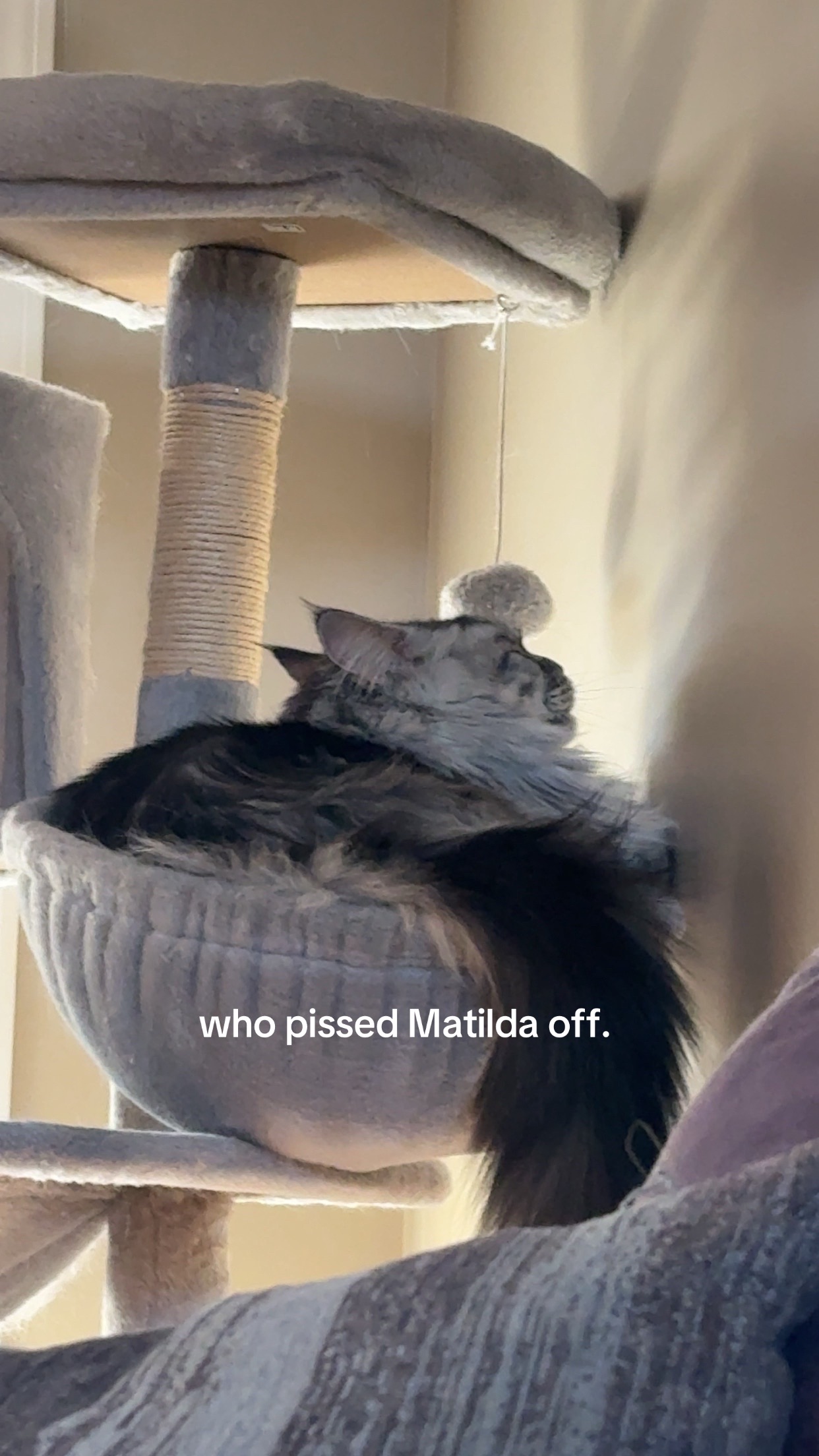 @Kacey Taylor
