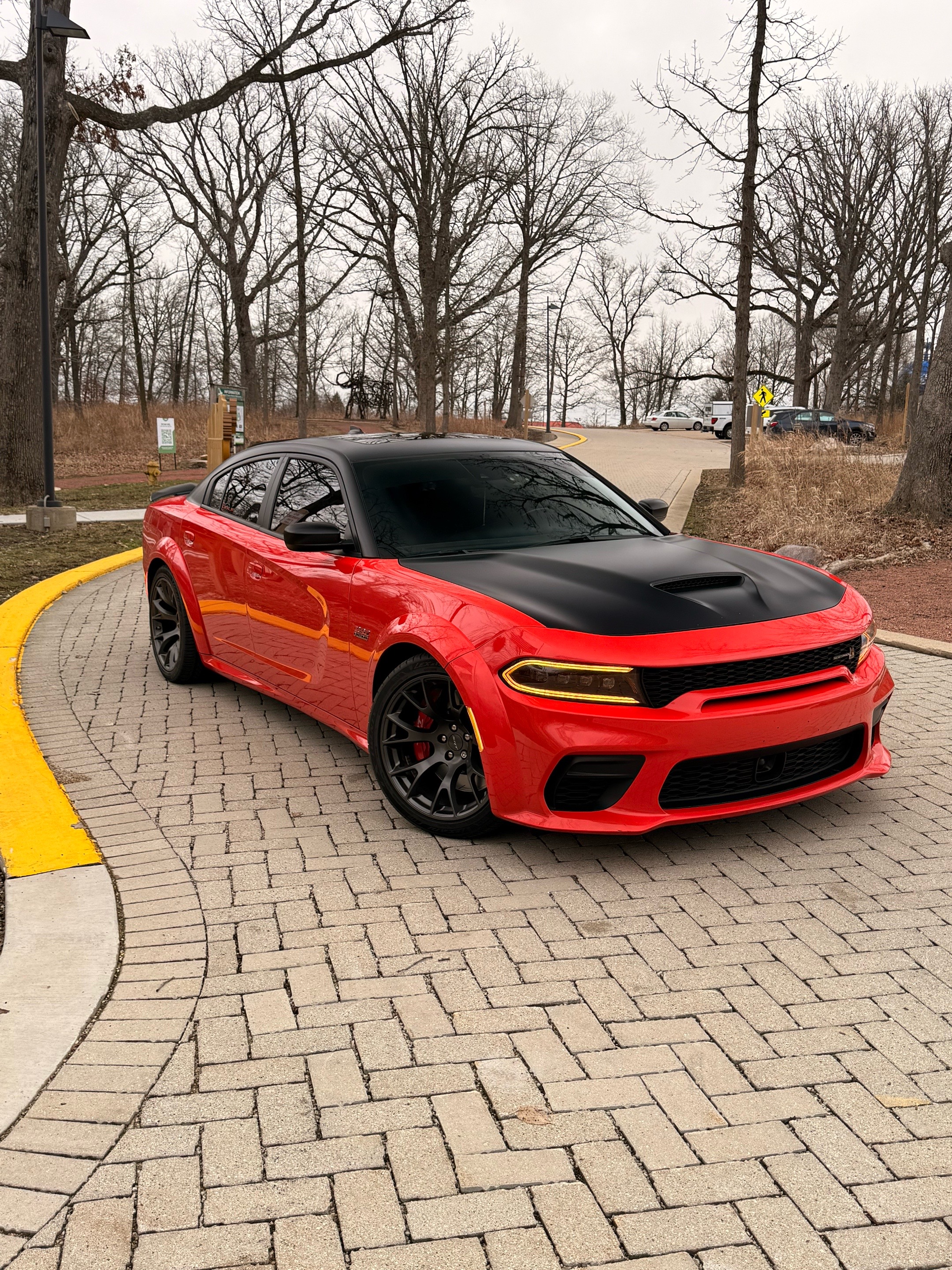 @TAZ_SRT
