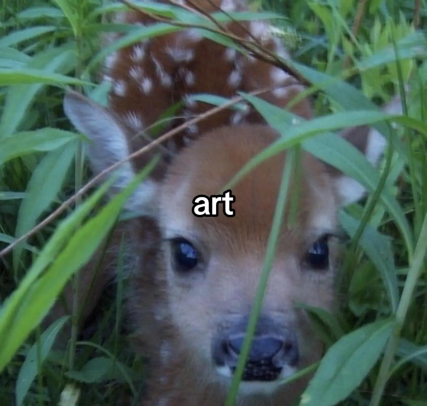 @reina