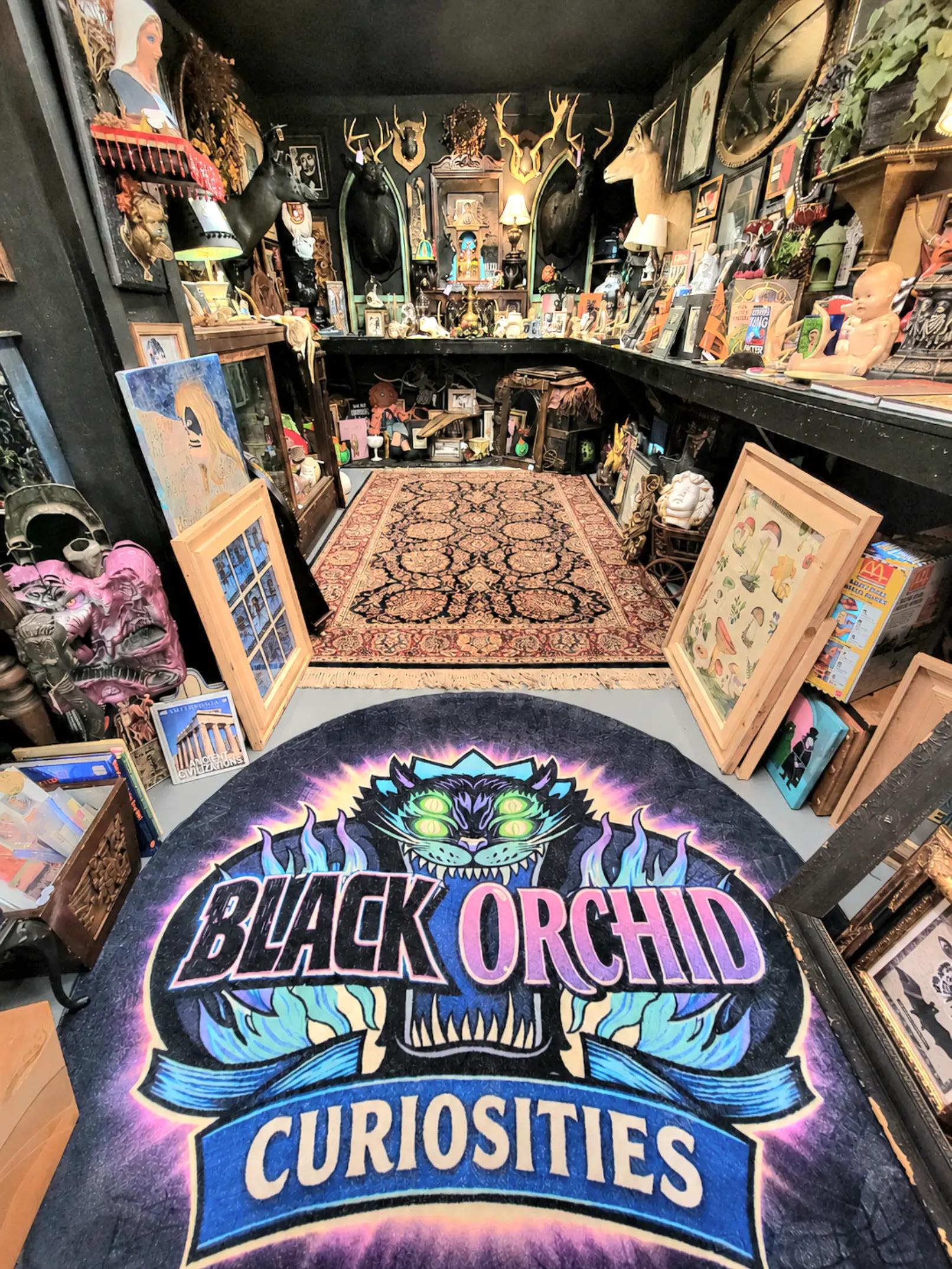 @blackorchidcuriosities
