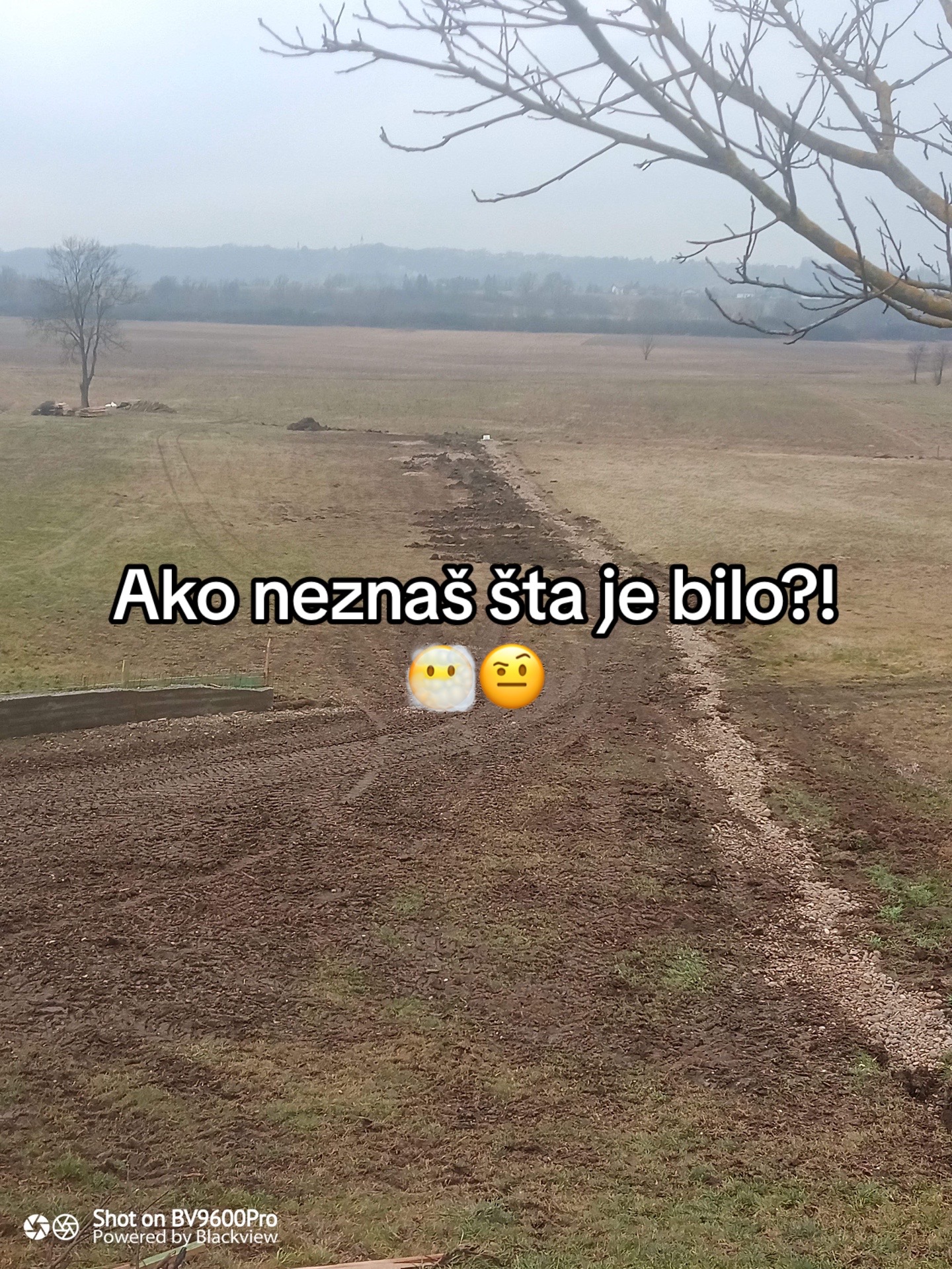@Vid Hrust