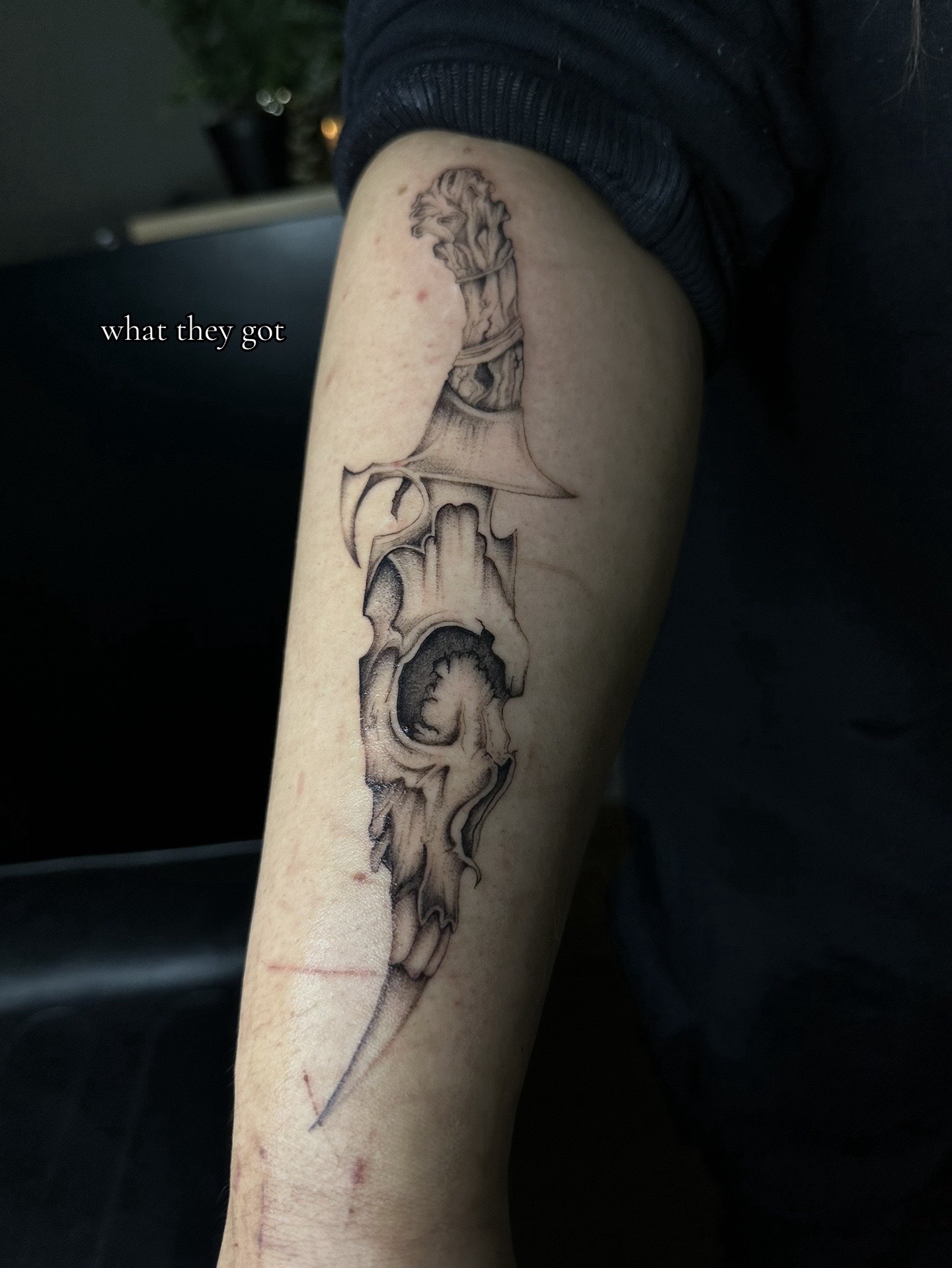 @V &bull; Tattoo Artist
