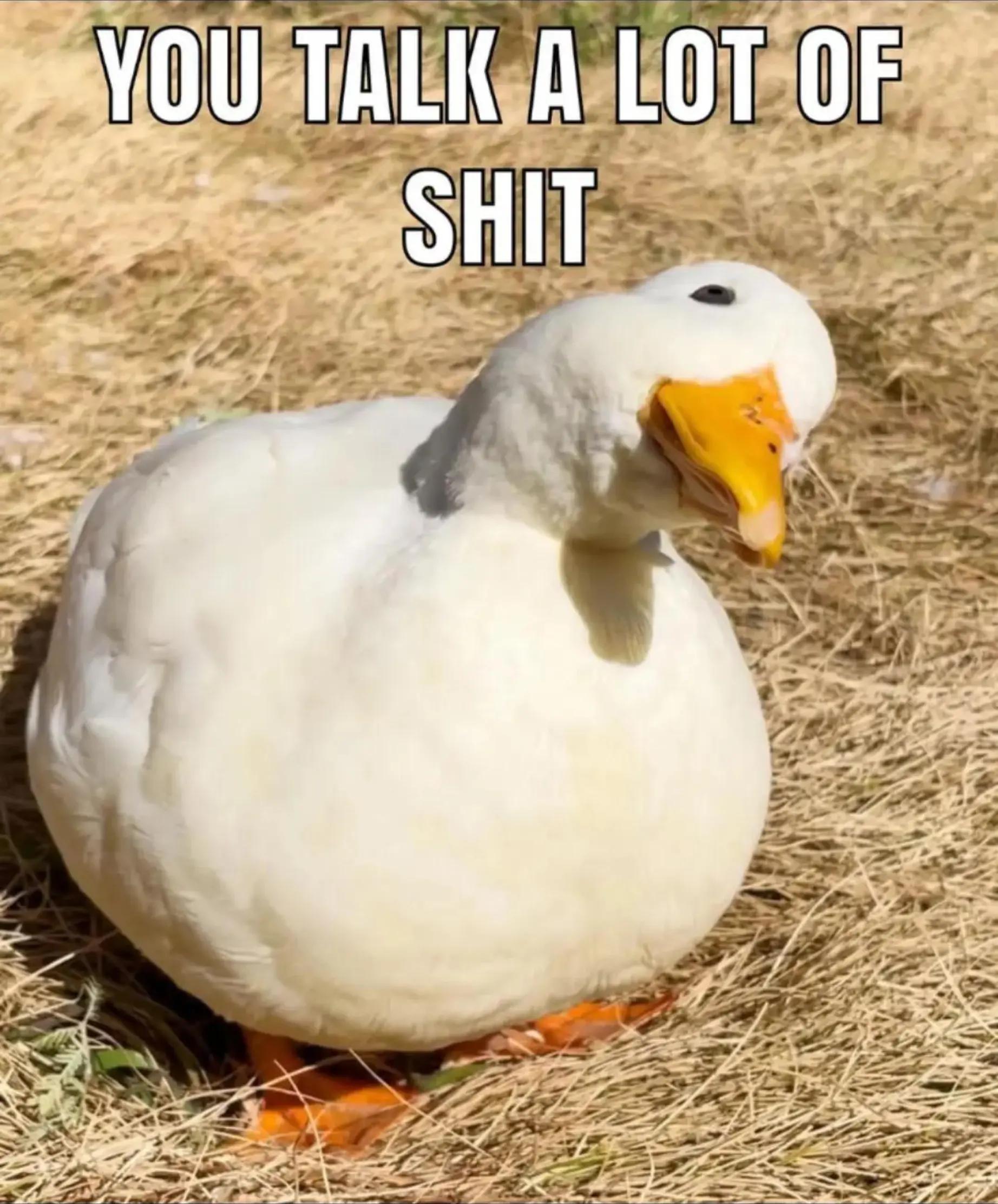 @❌️cLhOaSoTs❌️