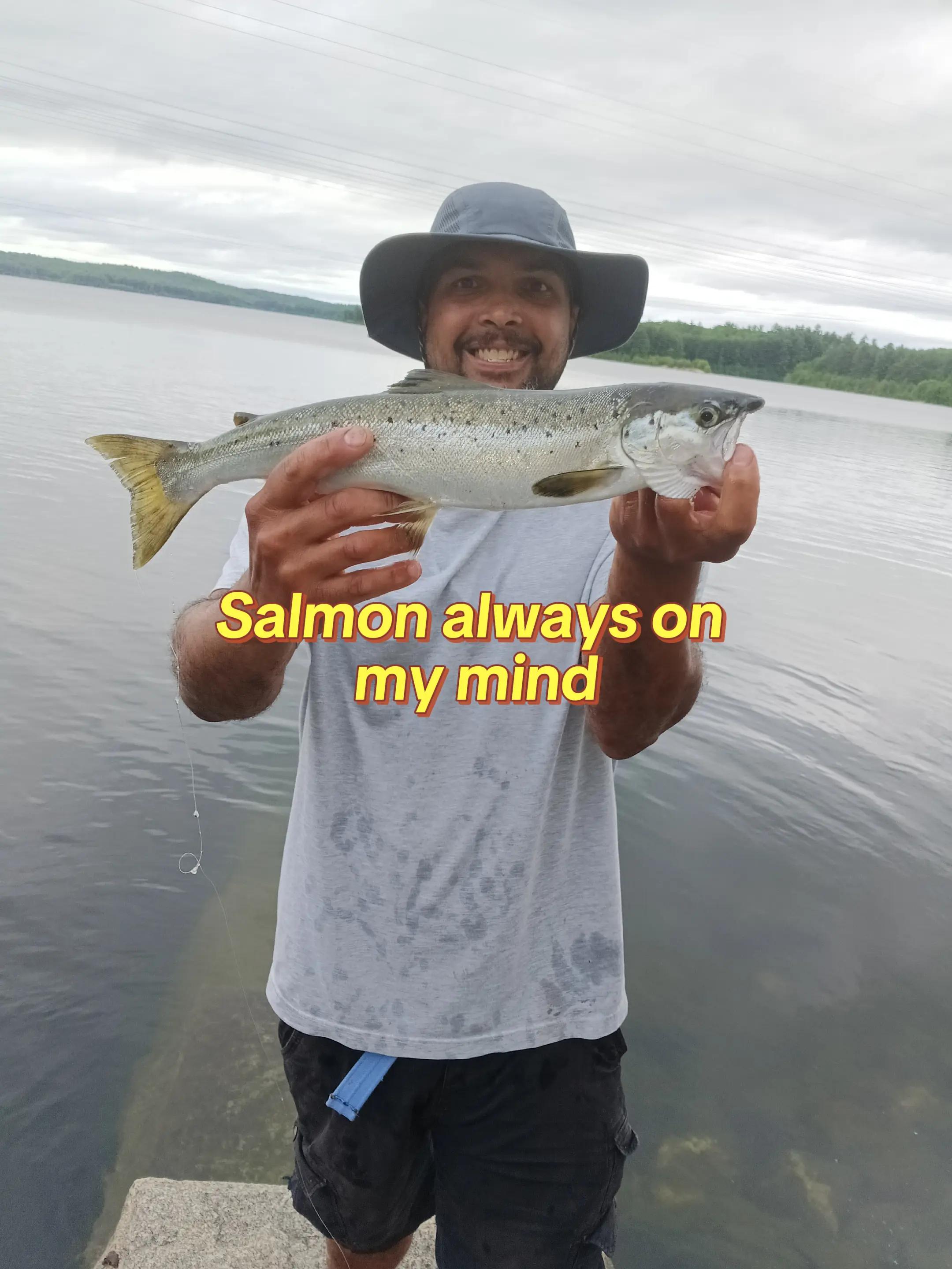 @Carlos Pagan