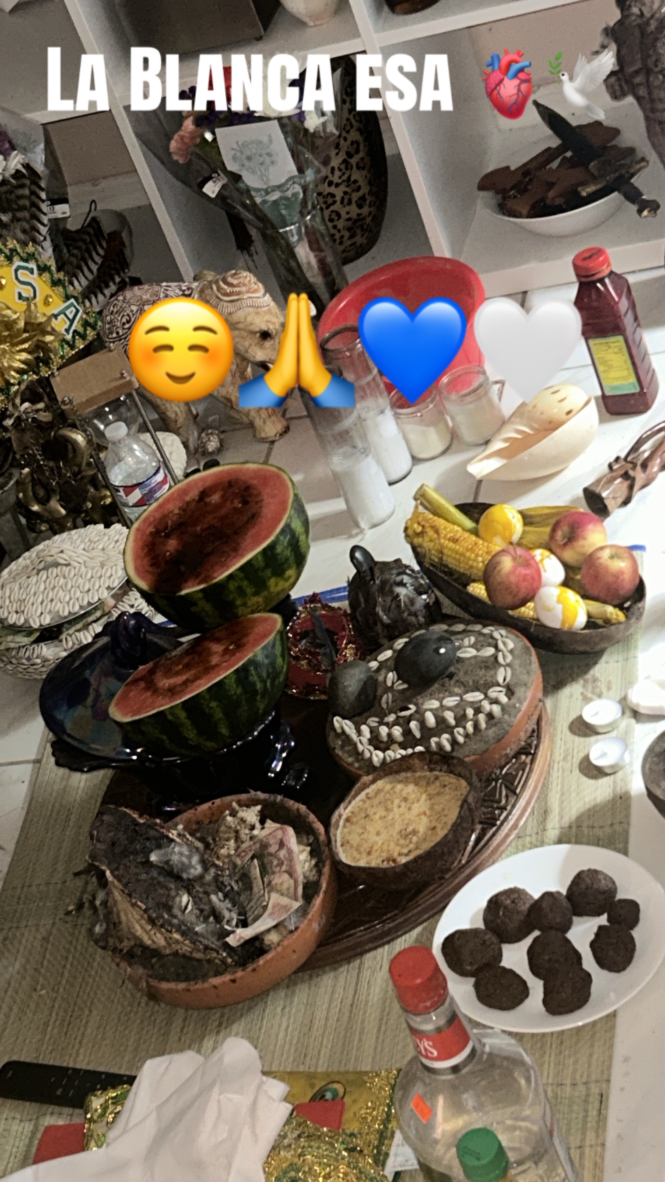 @Lacasadeeggun🤍🖤