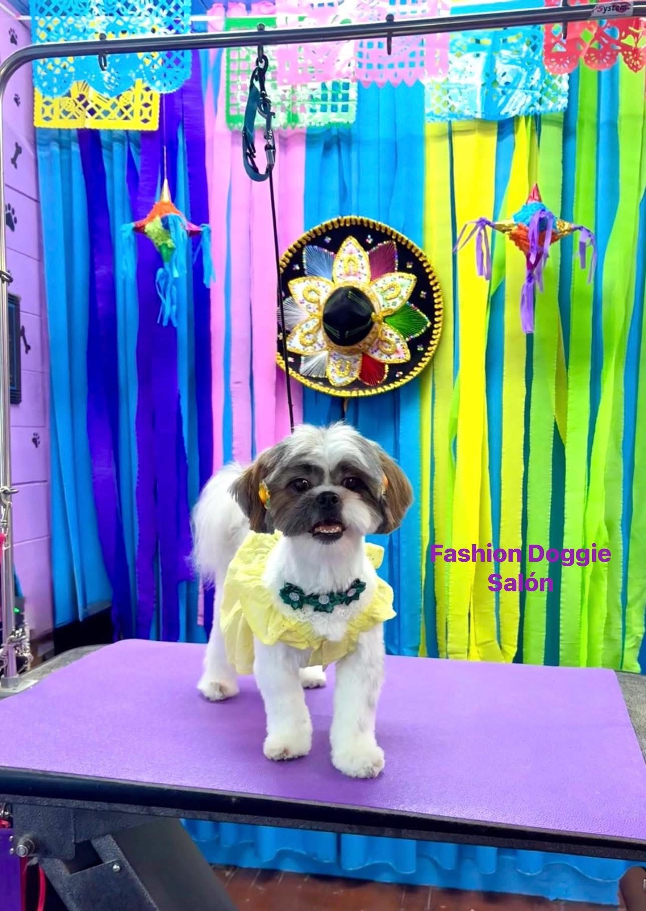 @fashion.doggie.salon