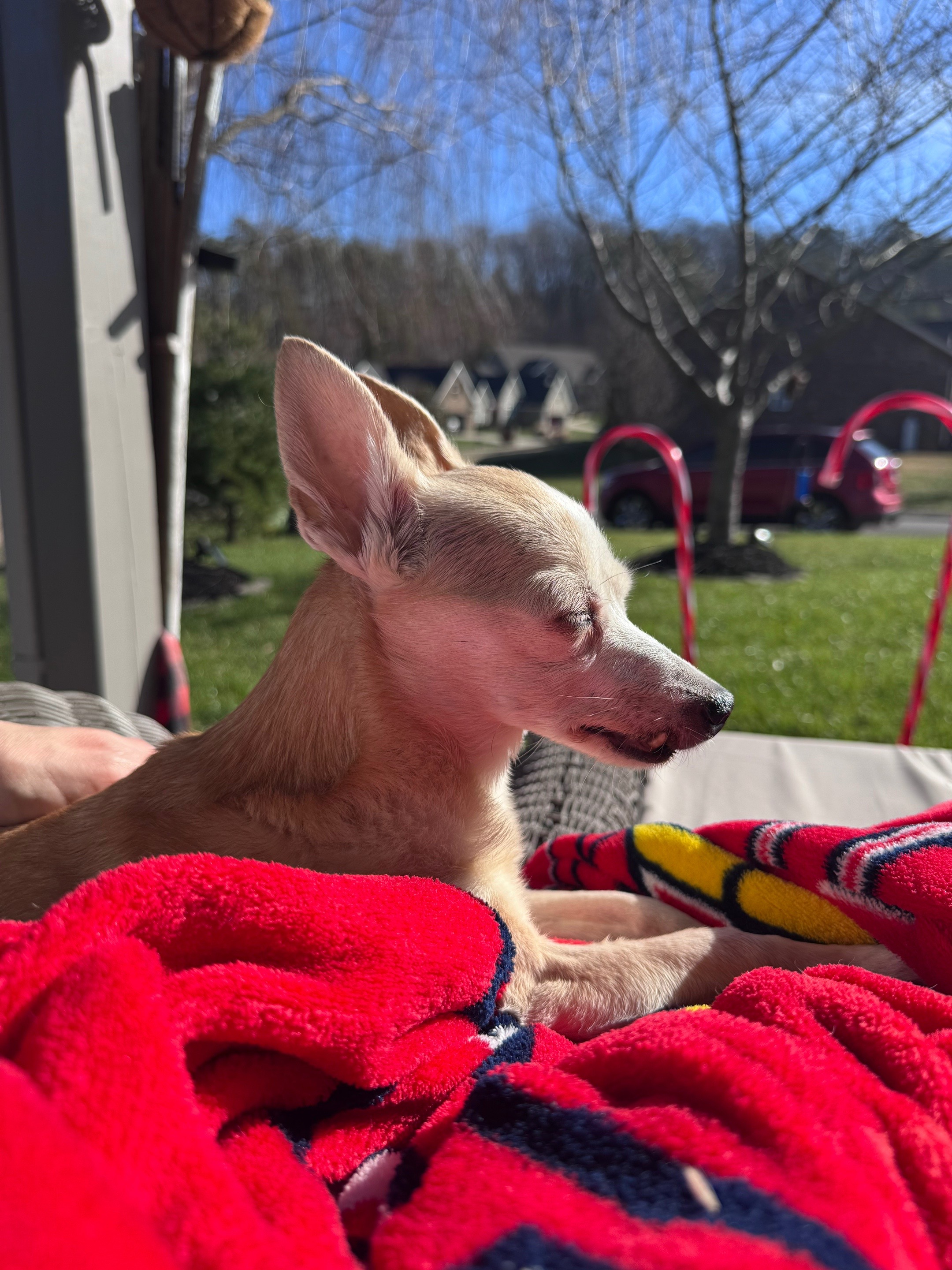 @MommasJunkJournal