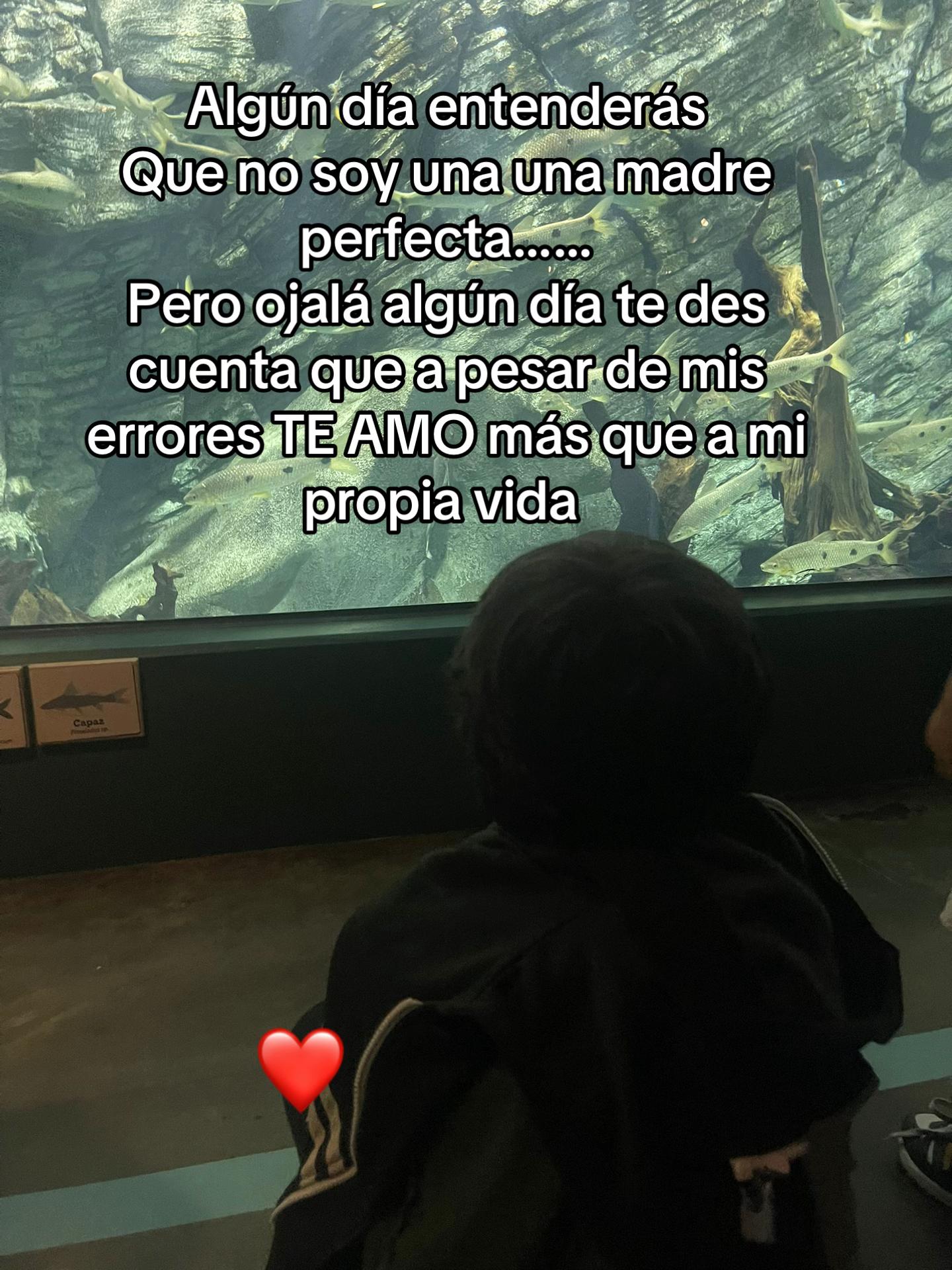 @siendomamaa