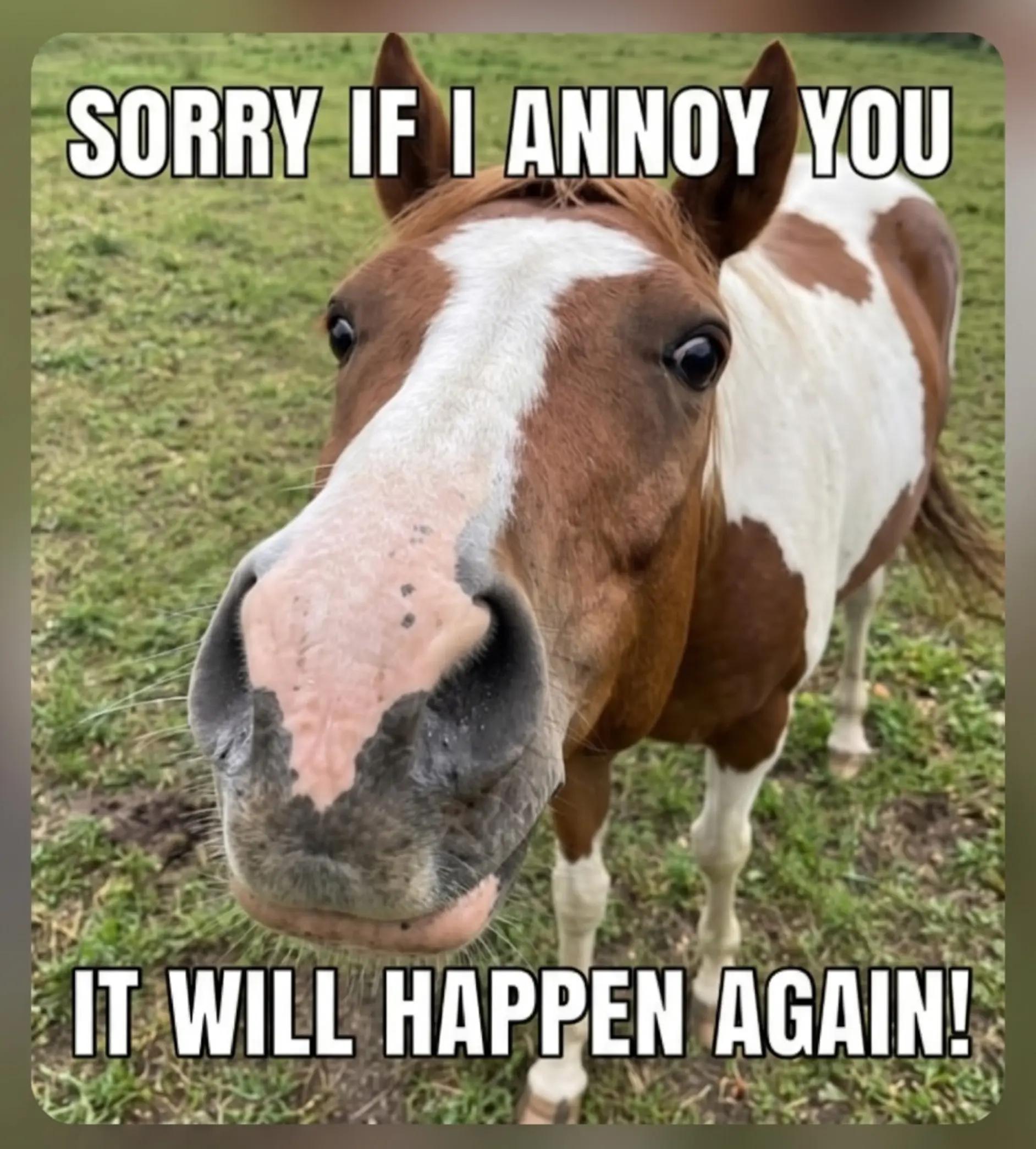 @streamhorse