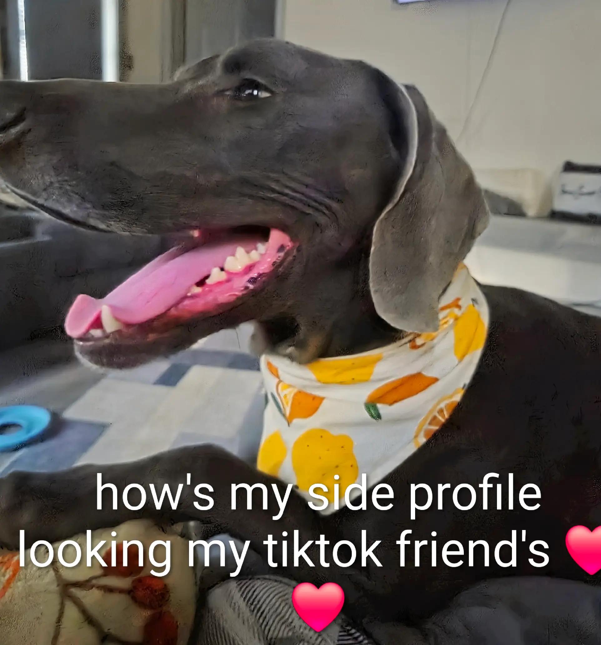 @sandyandjax437