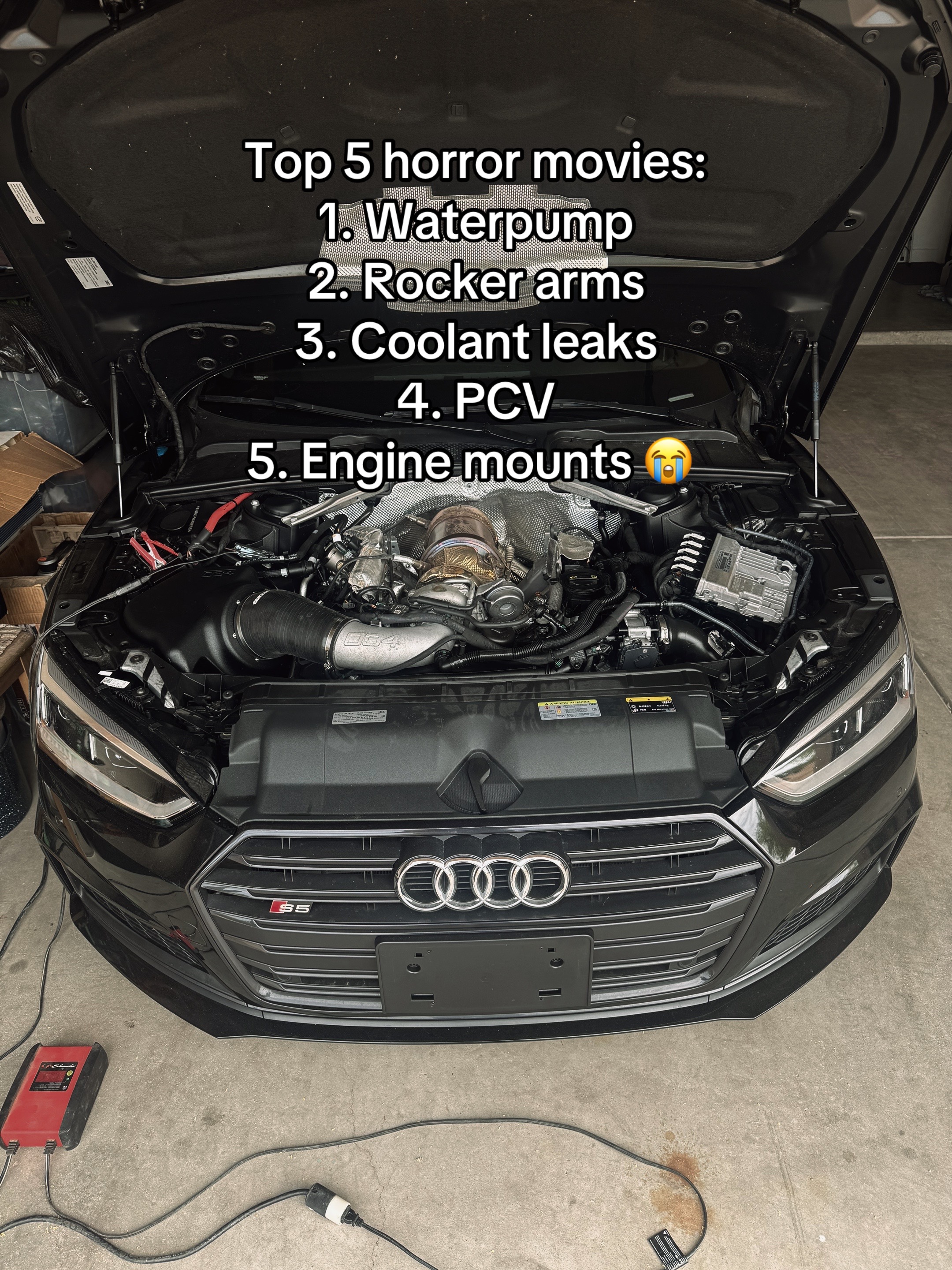 @quattro_octo