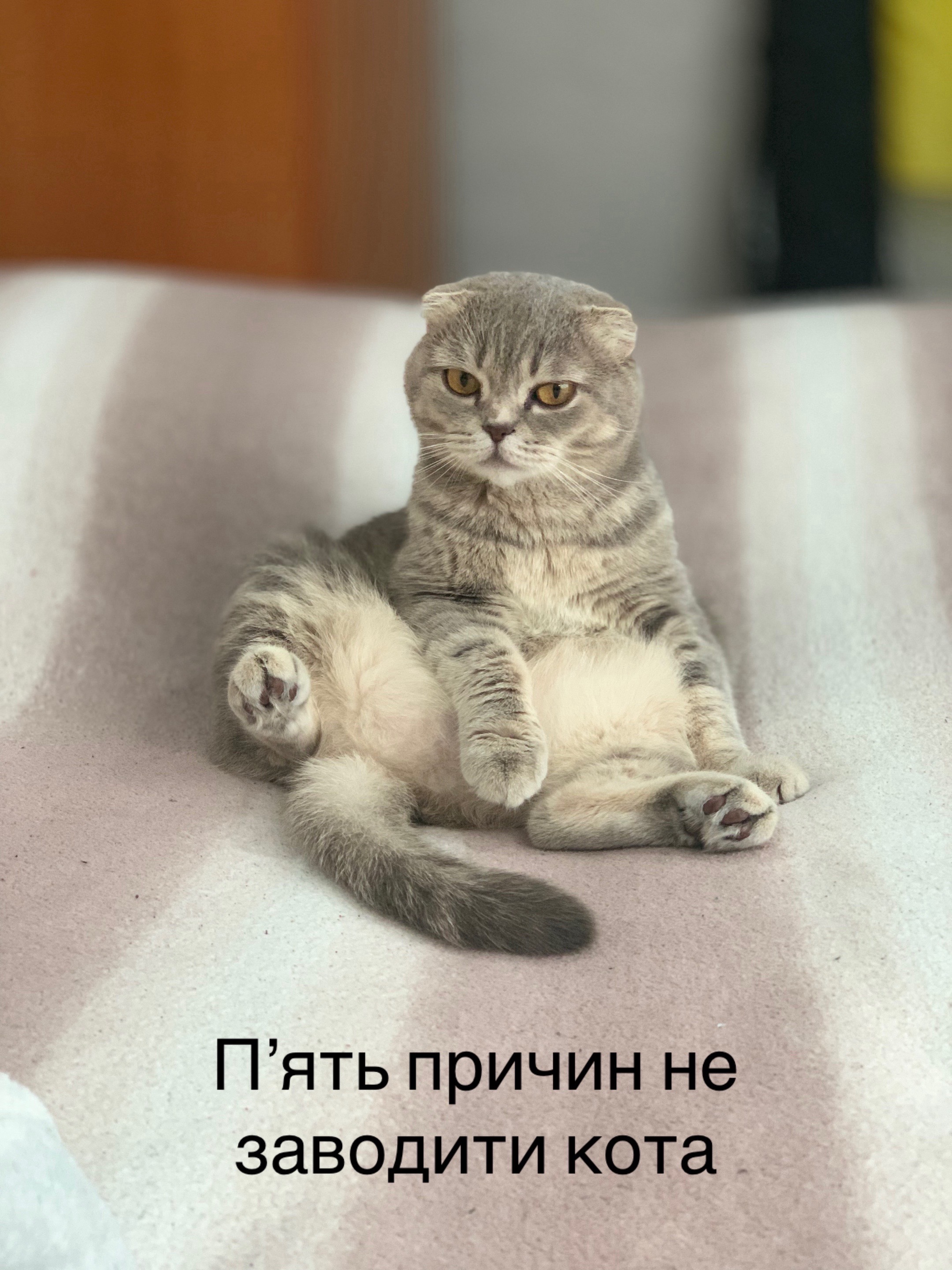 @Світлячок
