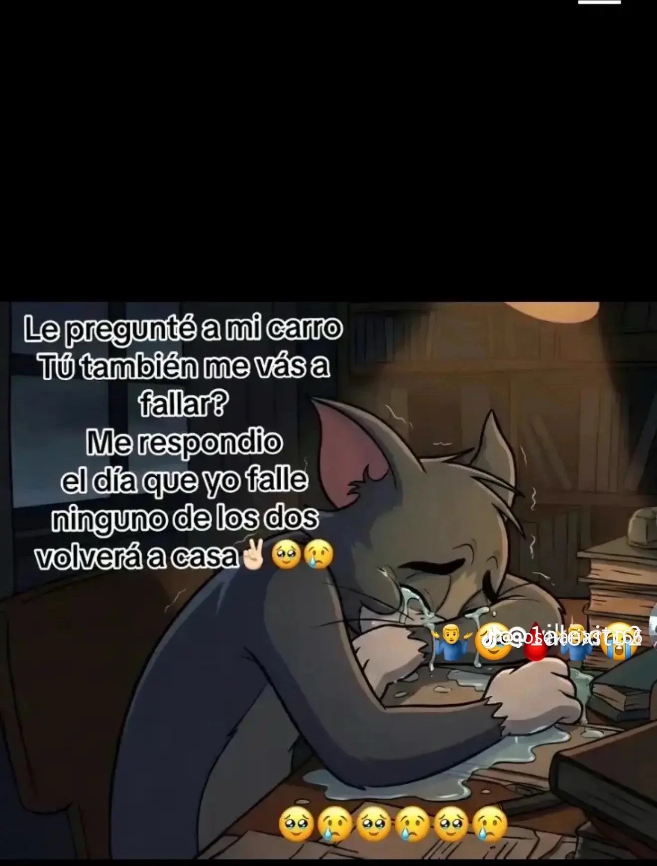 @Eli🦋