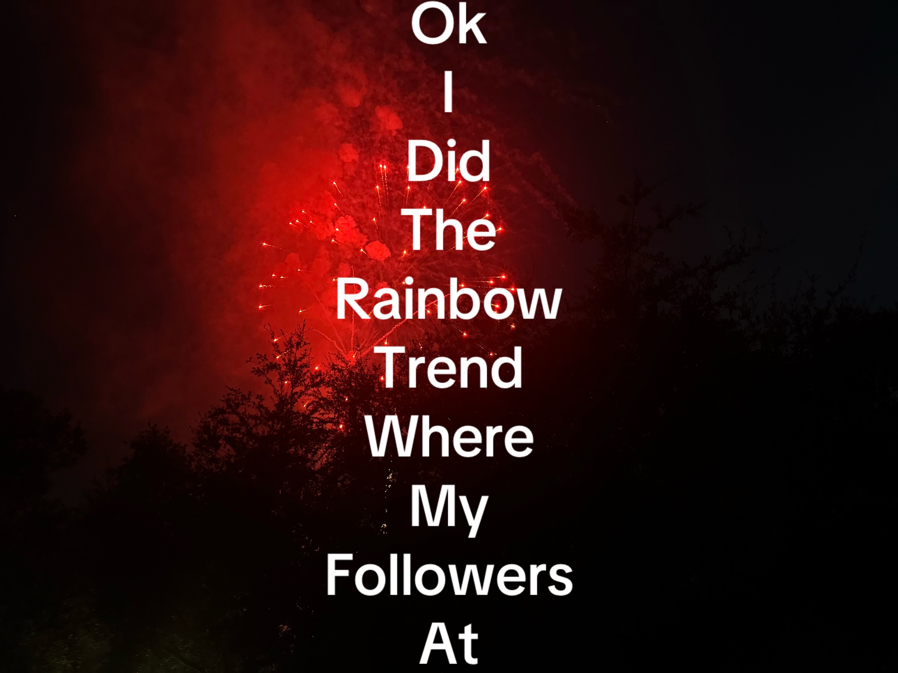 @lily_planet