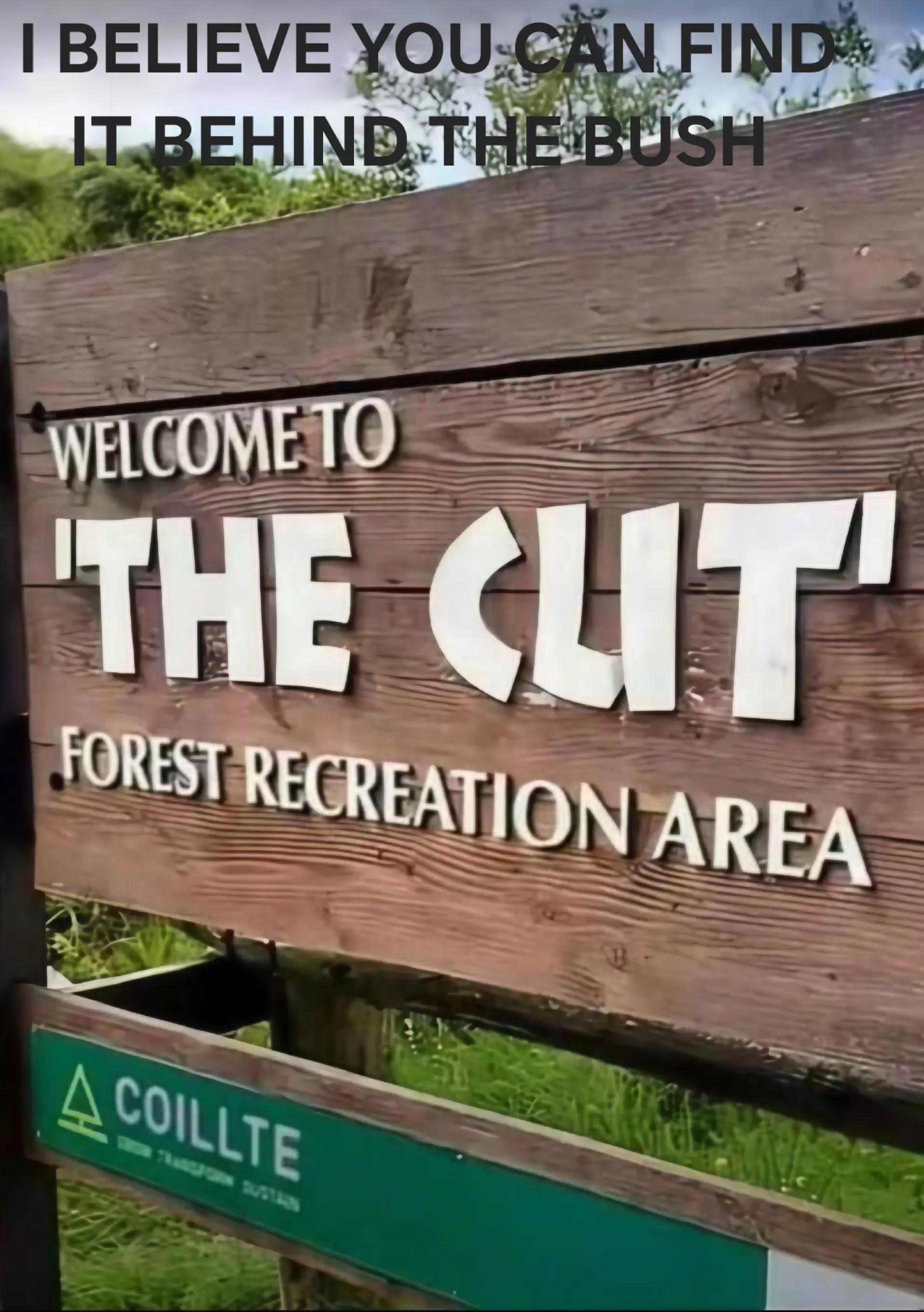 @Steve