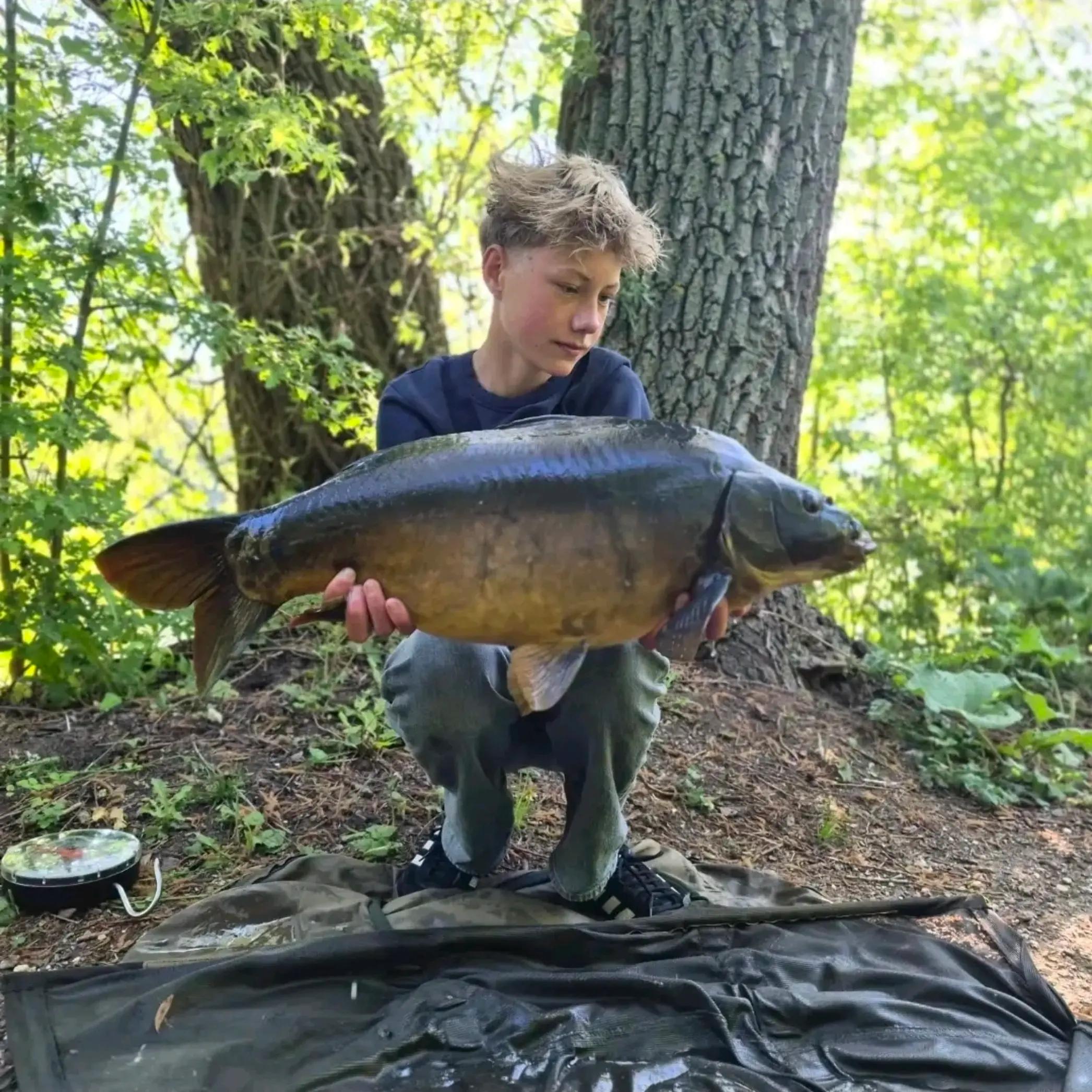 @carpworldonline