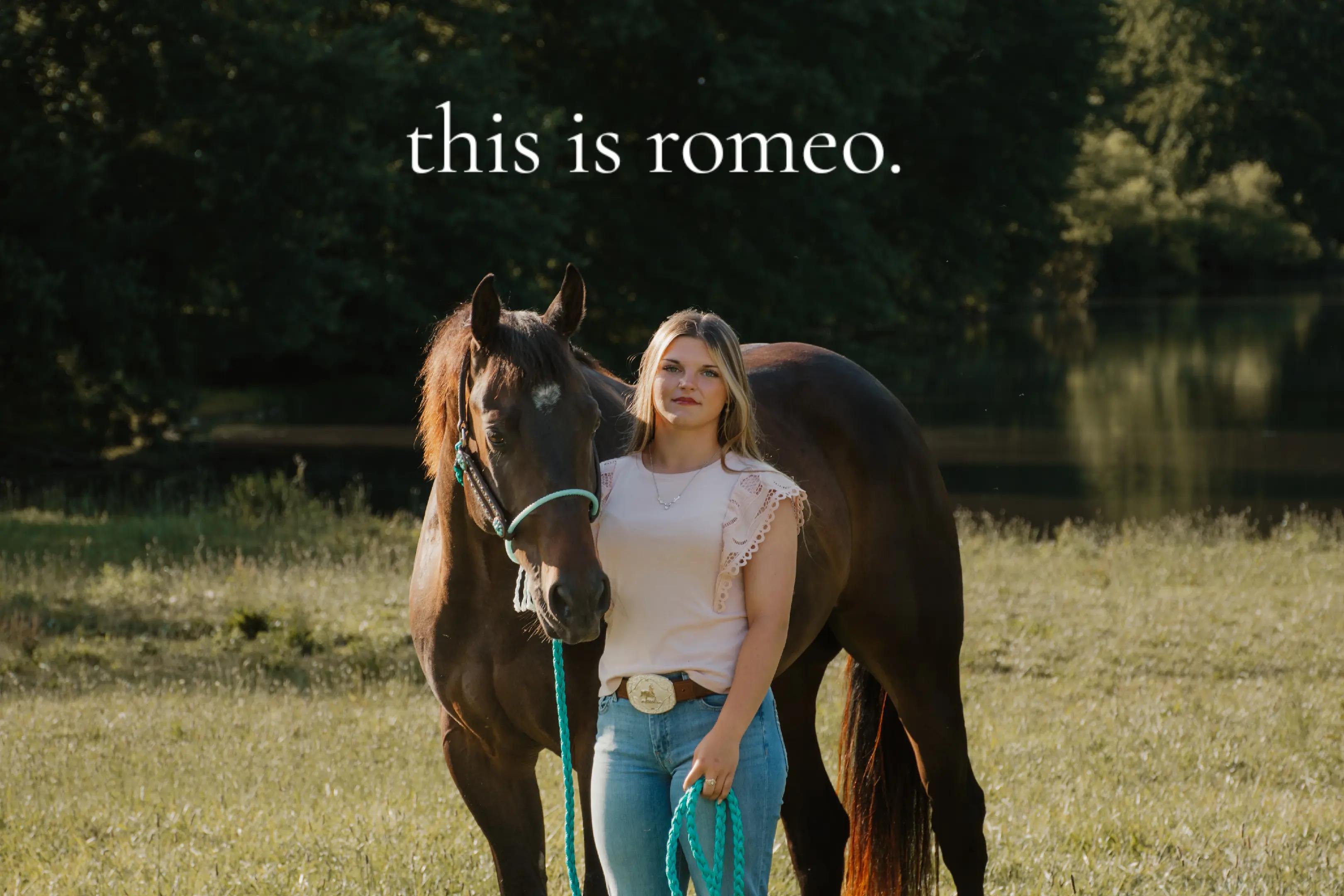 @Tori